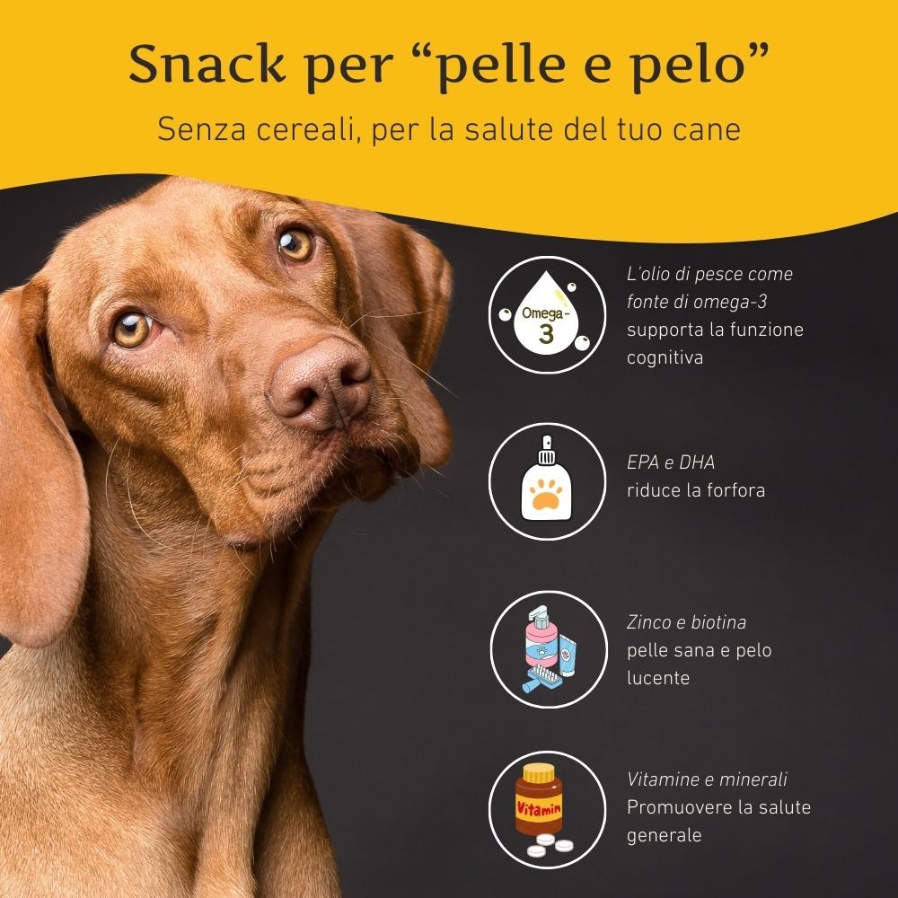 Hund mit Text über Omega-3, EPA/DHA, Zink/Biotin und Vitamine/Mineralien. Informationen zu Haut und Fell.
