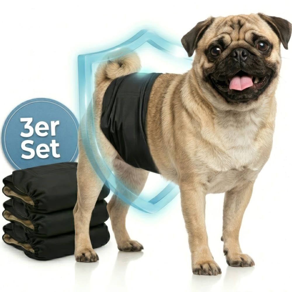 Hundewindel am Hund. 3er Set. Schwarze Windeln, beige Innenseite. Schild-Symbol.