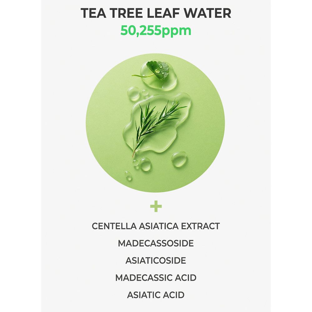 Grüner Kreis mit Blättern und Tropfen. Text: TEA TREE LEAF WATER, 50,255ppm. Zusätze: Centella Asiatica Extract, etc.