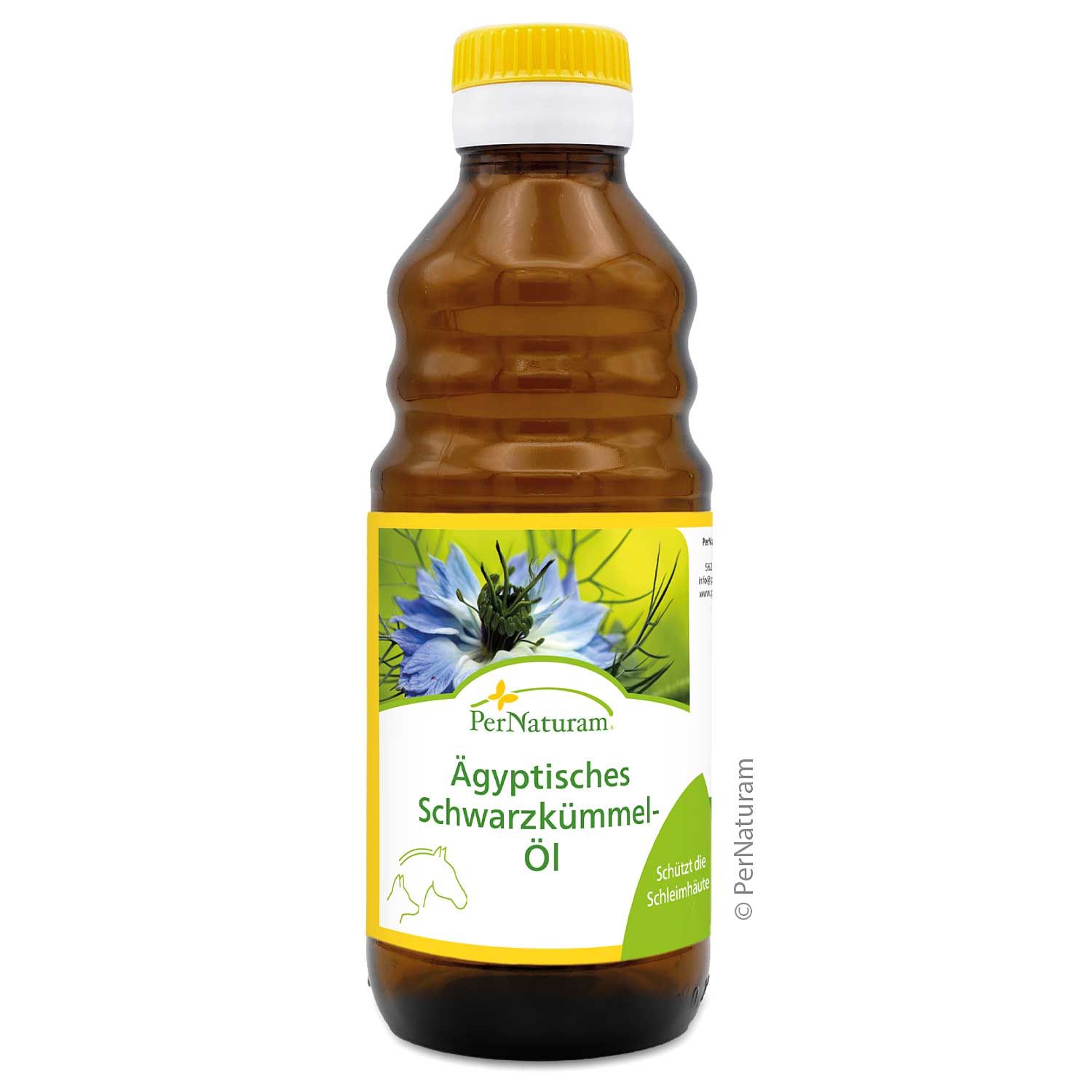 Braune Glasflasche mit gelbem Etikett. Aufschrift: Ägyptisches Schwarzkümmel-Öl. Gelber Deckel. Abbildung einer Blume.
