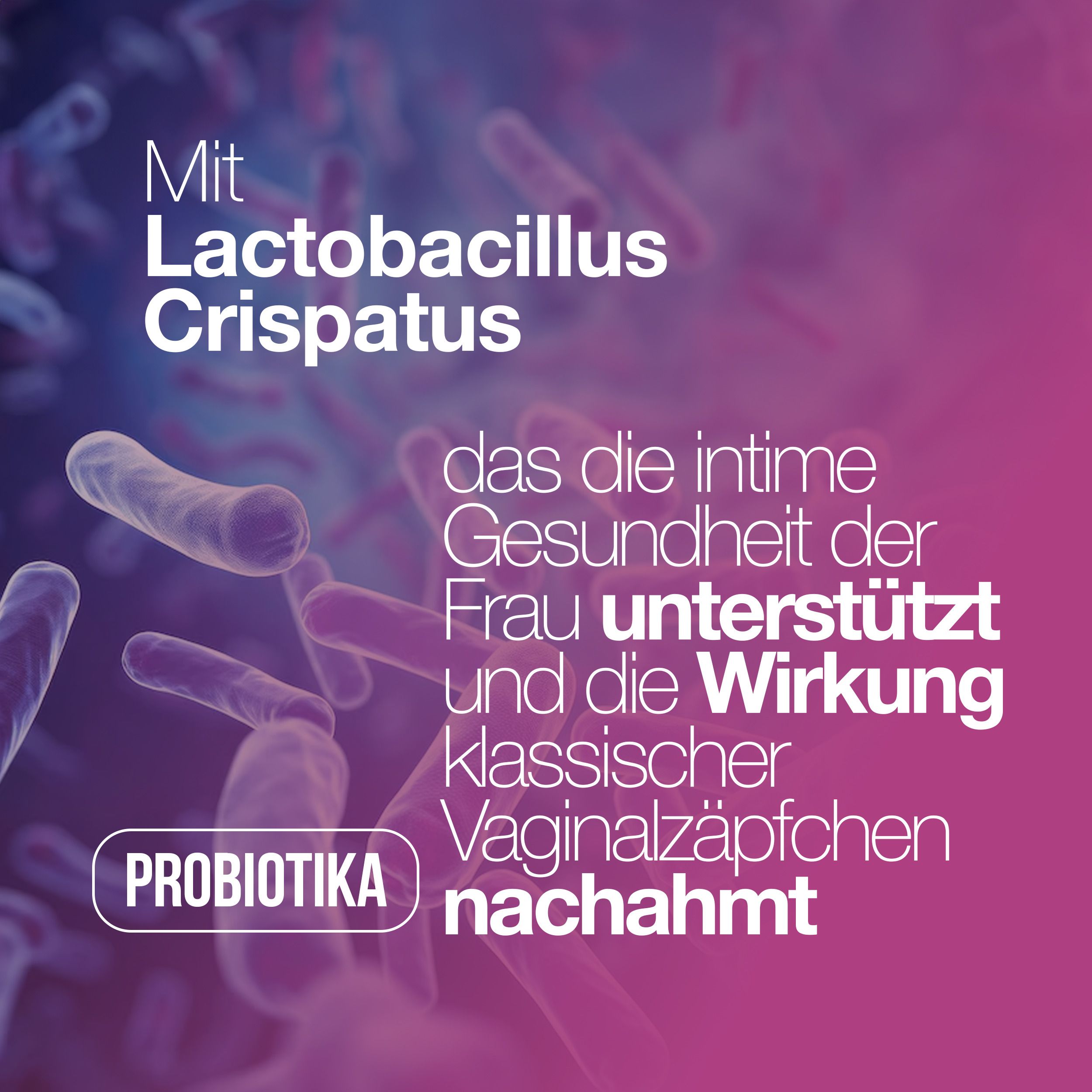 Mikroorganismen. Text: Mit Lactobacillus Crispatu, unterstützt die intime Gesundheit der Frau und die Wirkung klassischer Vaginalzäpfchen.