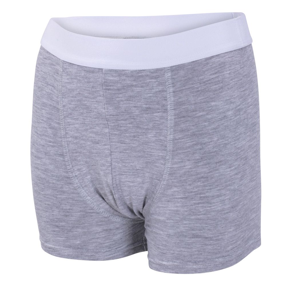 ActivePro Inkontinenzhose Men Normal Grau