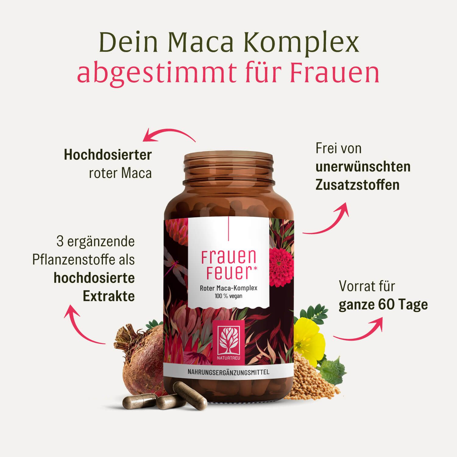 Dose mit Kapseln, umgeben von Maca-Wurzel, Samen und Kapseln. Pfeile zeigen auf Merkmale wie 'Hochdosierter roter Maca'.