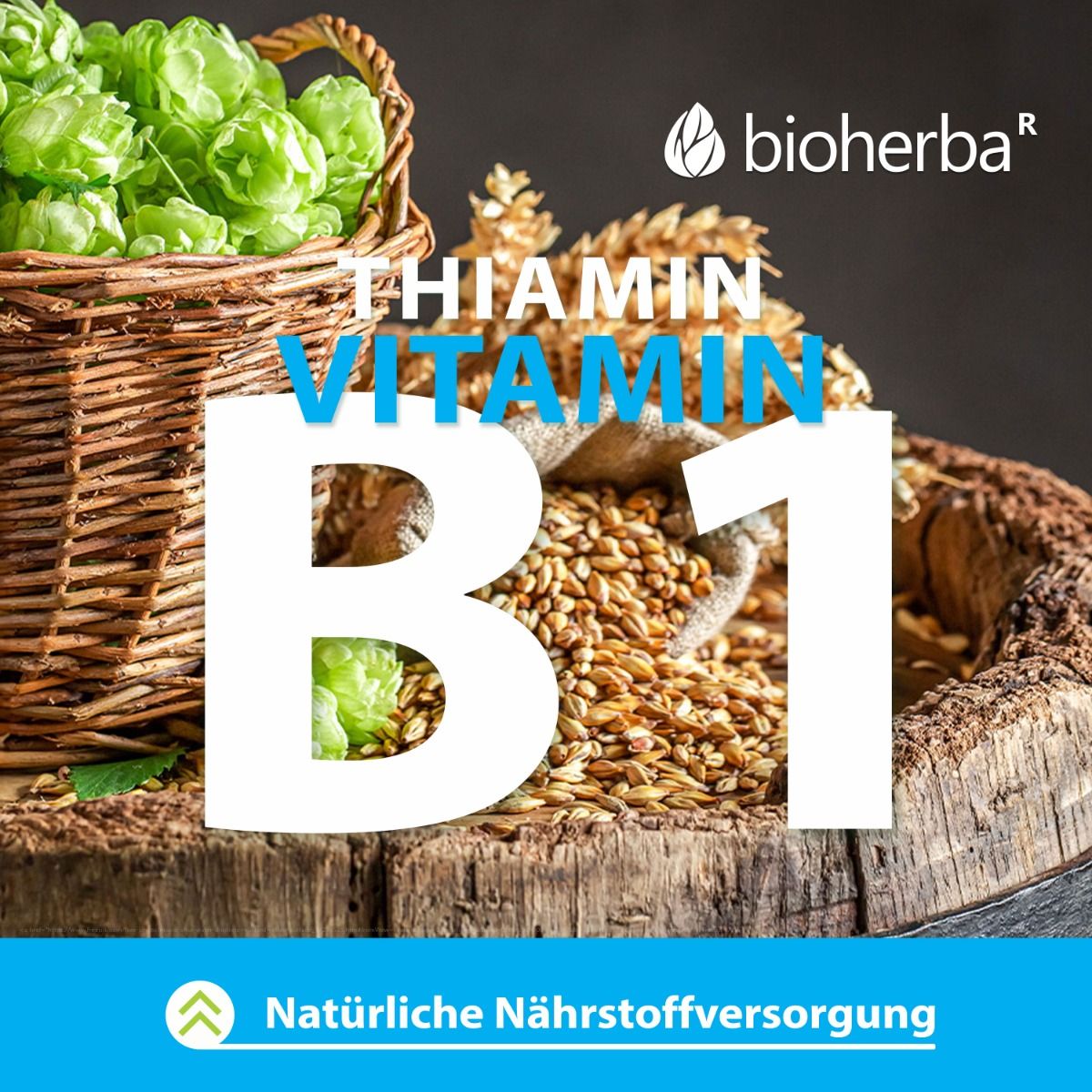 Korb mit Hopfen, Getreide und Text: Vitamin B1. Logo Bioherba. Natürliche Nährstoffversorgung.