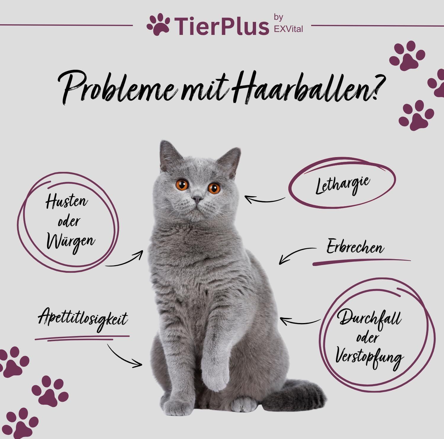 EXVital® Anti Hairball Komplex Pulver für Katzen