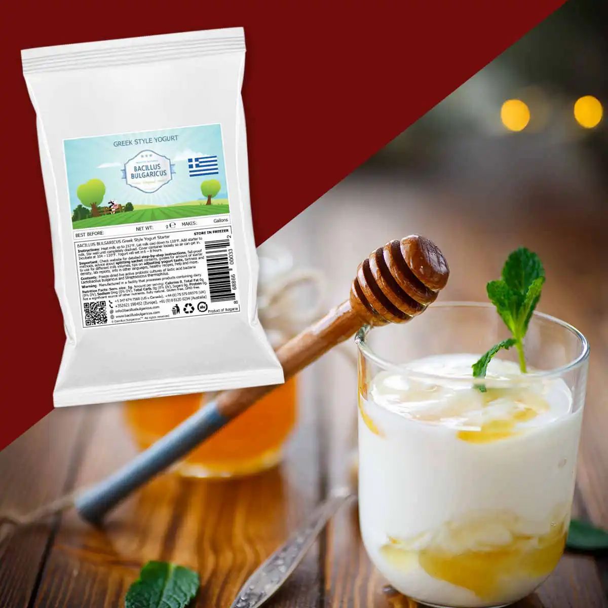 BACILLUS BULGARICUS Griechische Joghurt-Kulturen