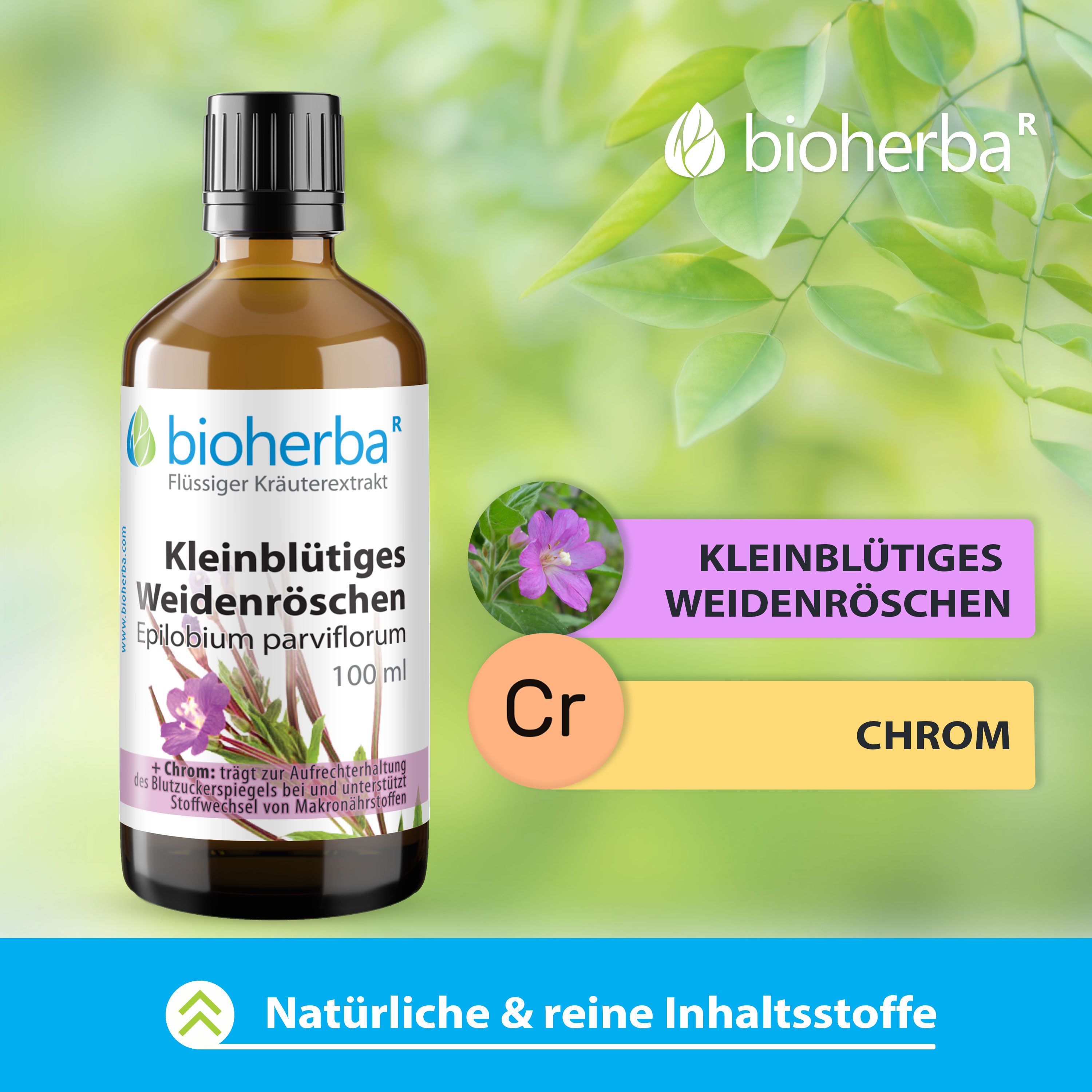 Braune Glasflasche mit schwarzem Deckel. Enthält Bioherba, Kleinblütiges Weidenröschen, Epilobium parviflorum, 100 ml. Mit Infografik.