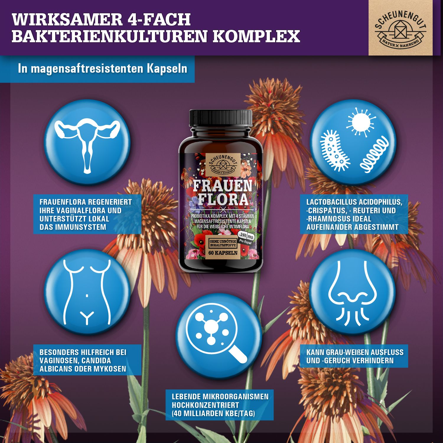 Braune Flasche mit Kapseln, umgeben von Grafiken. Text: 4-fach Bakterienkulturen Komplex. Hilfreich bei Vaginalpilz.