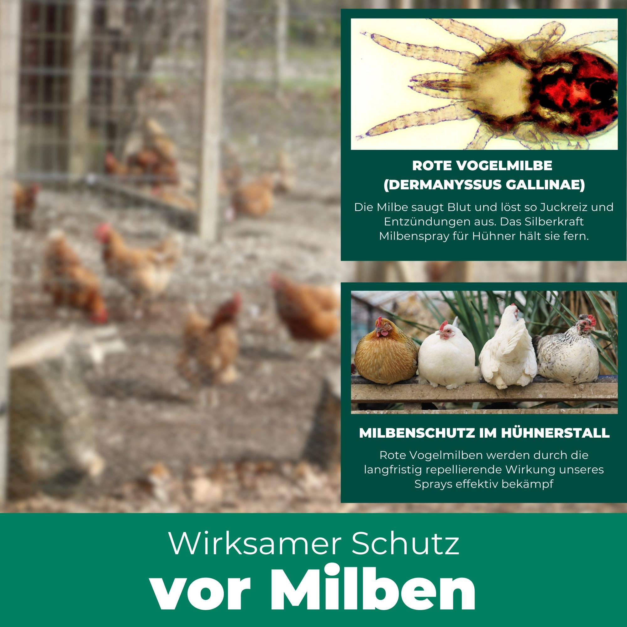 SILBERKRAFT Milbenspray Hühner