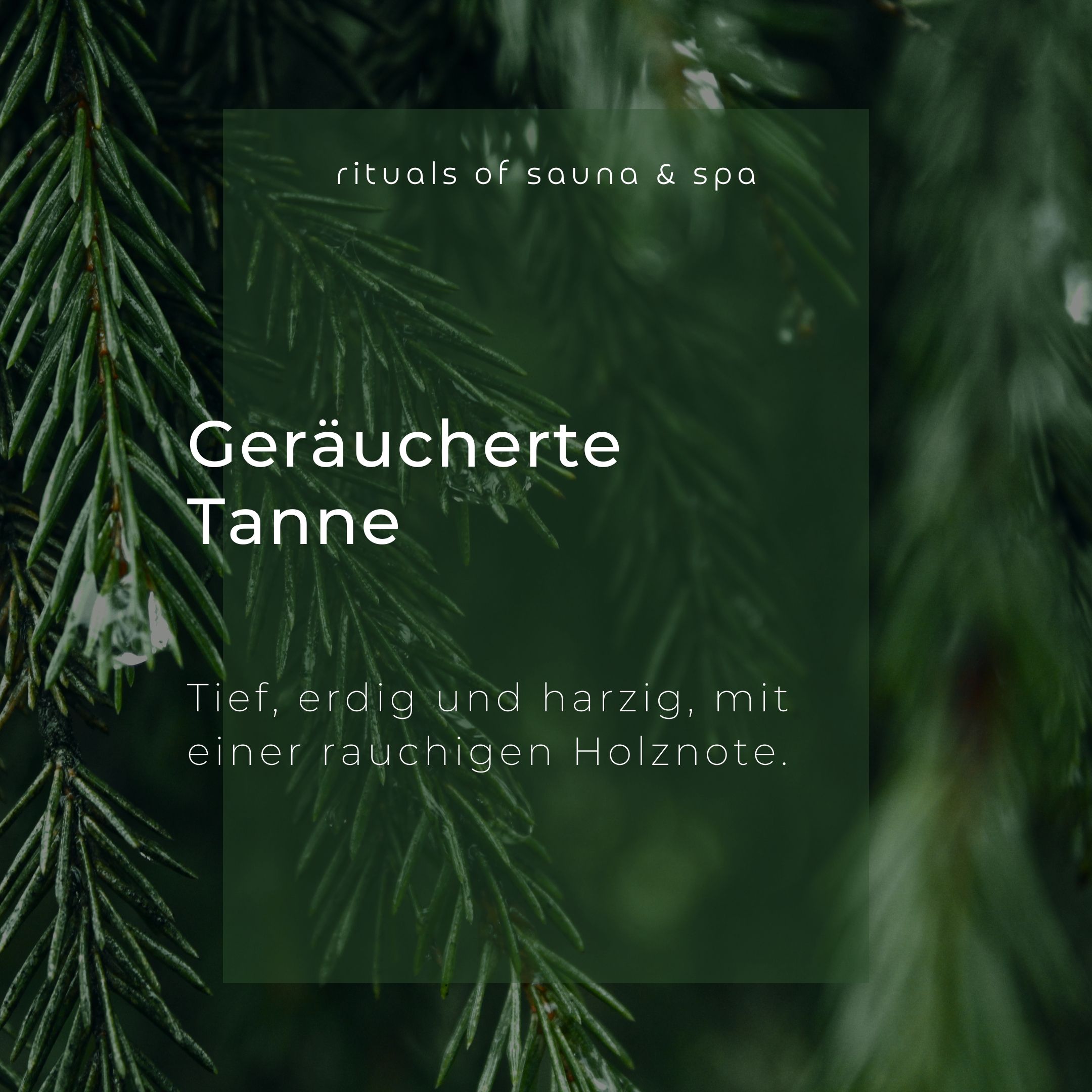 Text auf grünem Hintergrund: Geräucherte Tanne. Tief, erdig und harzig, mit einer rauchigen Holznote. Umgeben von Tannenzweigen.