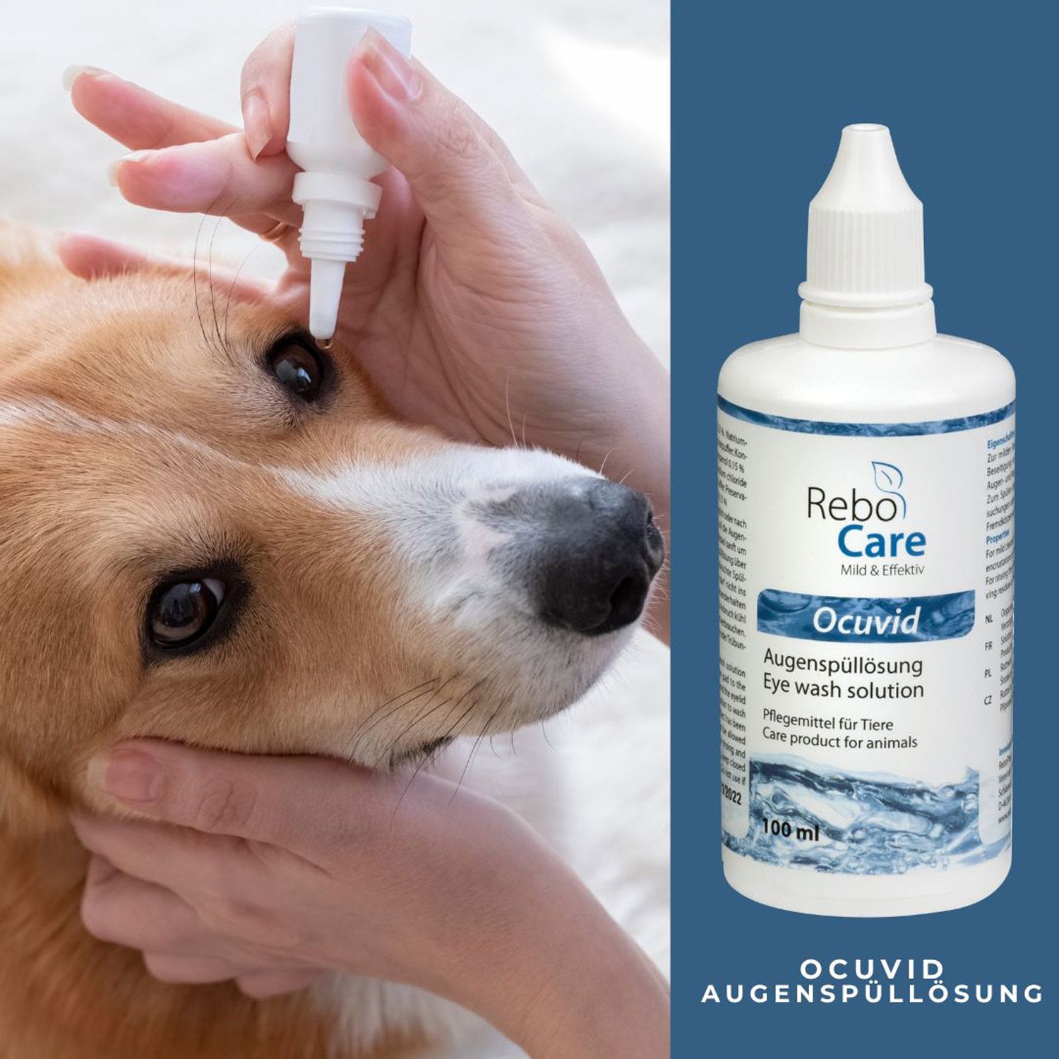 Ocuvid Augenspüllösung für alle Tiere