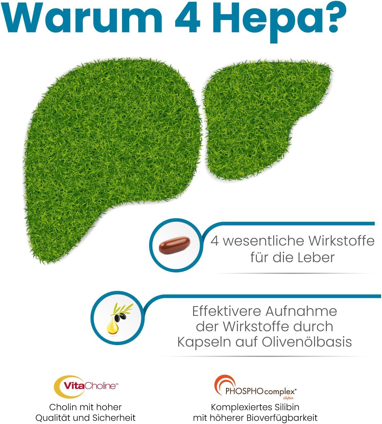 Grafik mit zwei grünen Leberformen. Text: 4 wesentliche Wirkstoffe für die Leber. Kapsel- und Öl-Grafik.