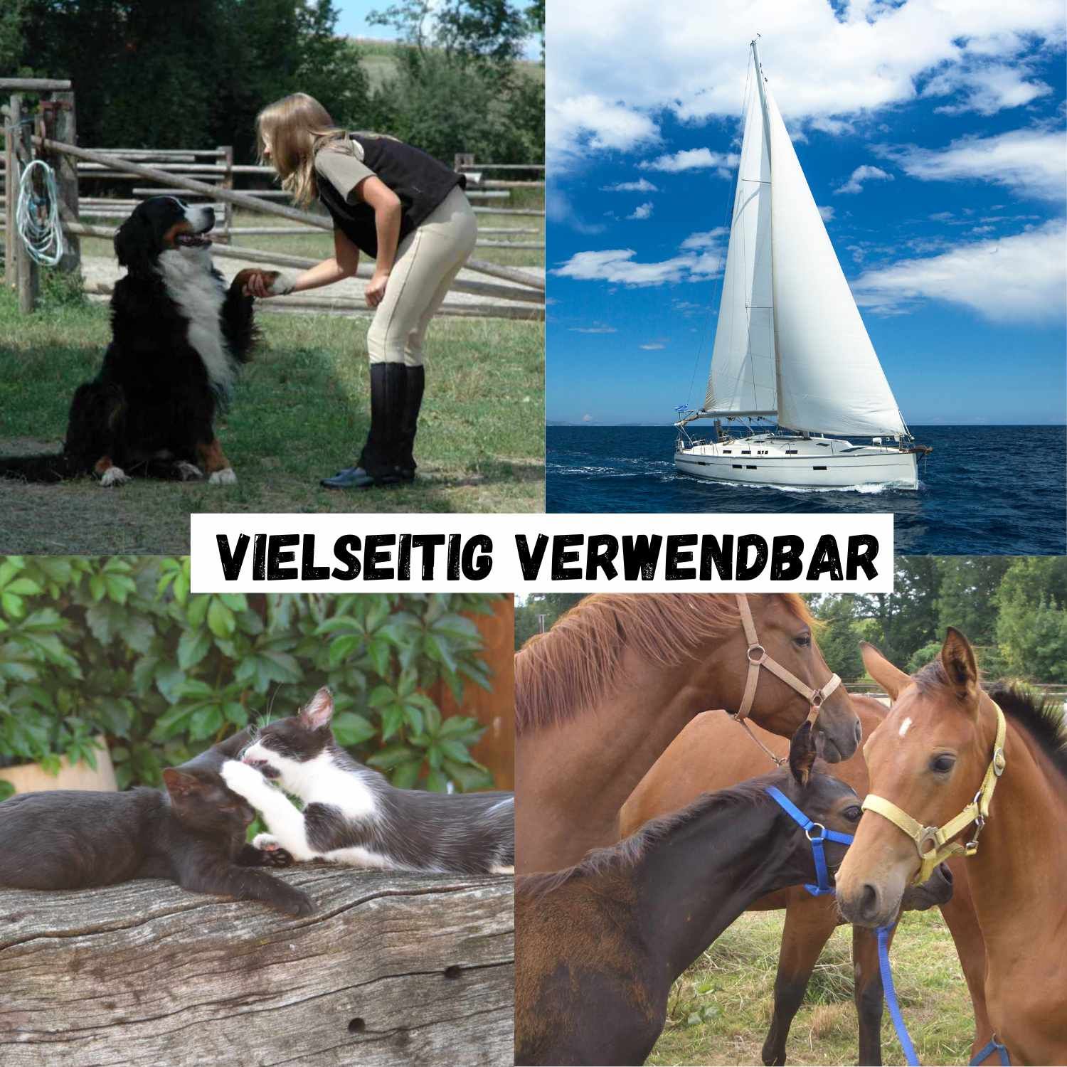 Collage mit Bildern von Pferden, Hunden, Katzen und einem Segelboot. Text "VIELSEITIG VERWENDBAR".