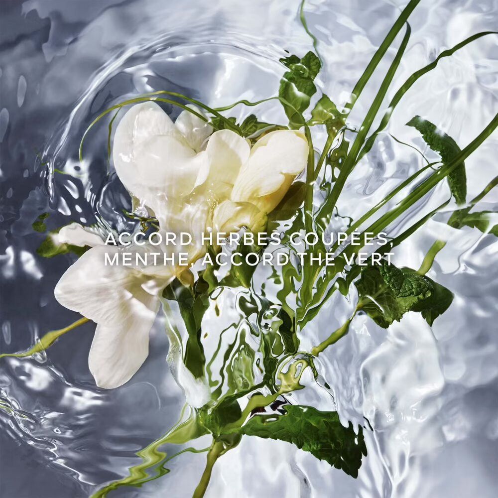 Nahaufnahme von Wasser mit Kräutern und Blüten. Text: Accord Herbes Coupées, Menthe, Accord Thé Vert.