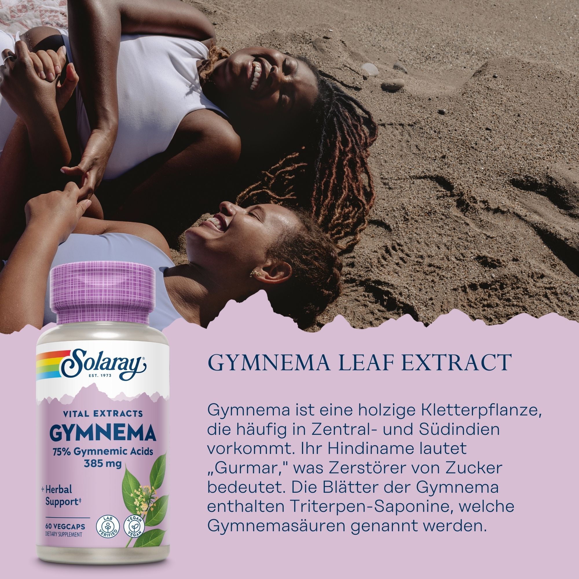 Solaray Gymnema leaf Extrakt Flasche. Aufschrift: Gymnema, 75% Gymnemsäuren, 385 mg. 60 Vegicaps. Herbal Support.