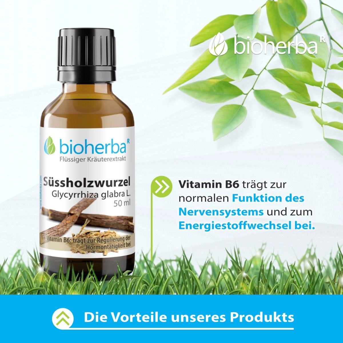 Braune Glasflasche mit schwarzem Deckel. Etikett mit Produktnamen und Logo. Text: Vitamin B6 trägt zur normalen Funktion des Nervensystems bei.