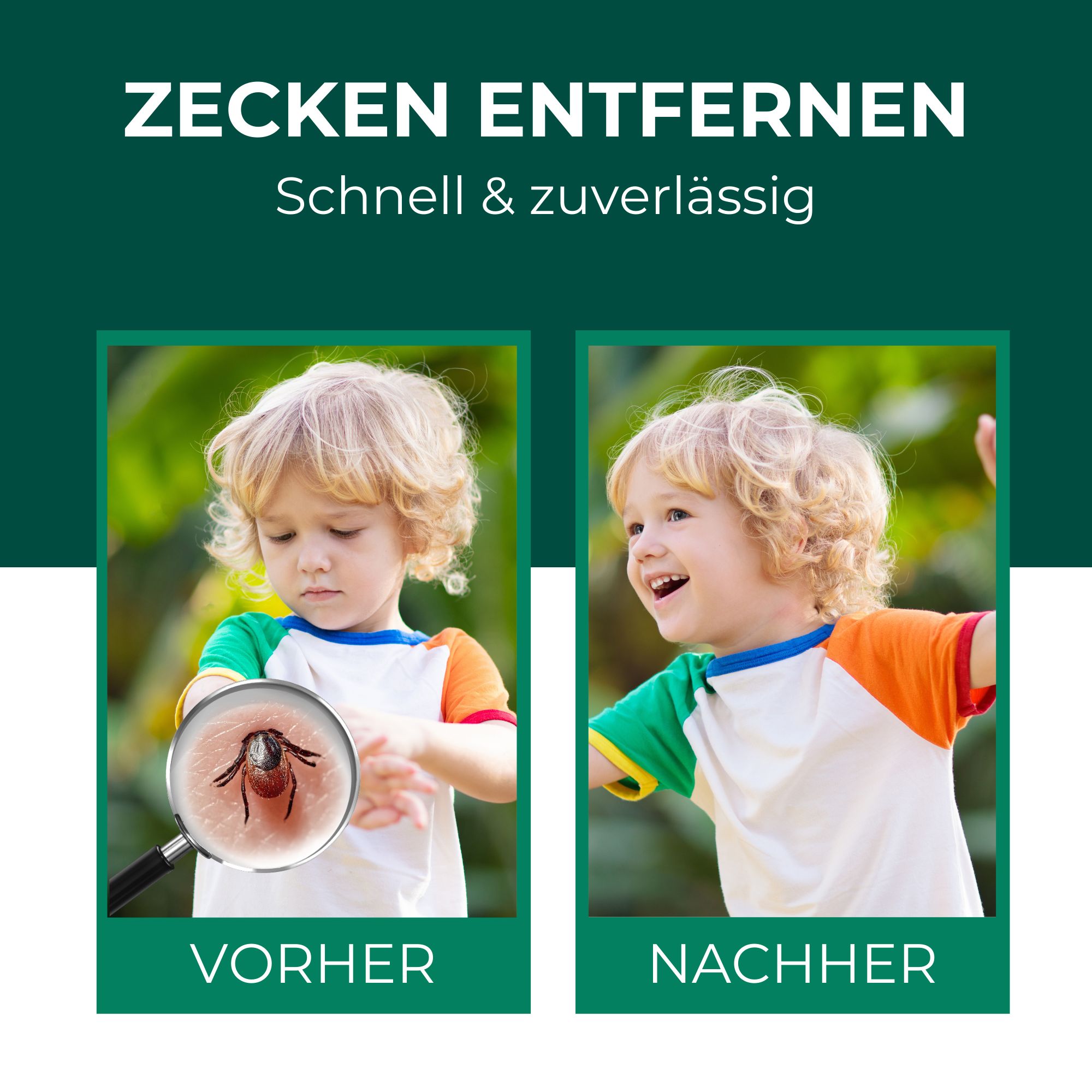 SILBERKRAFT Zeckenzange