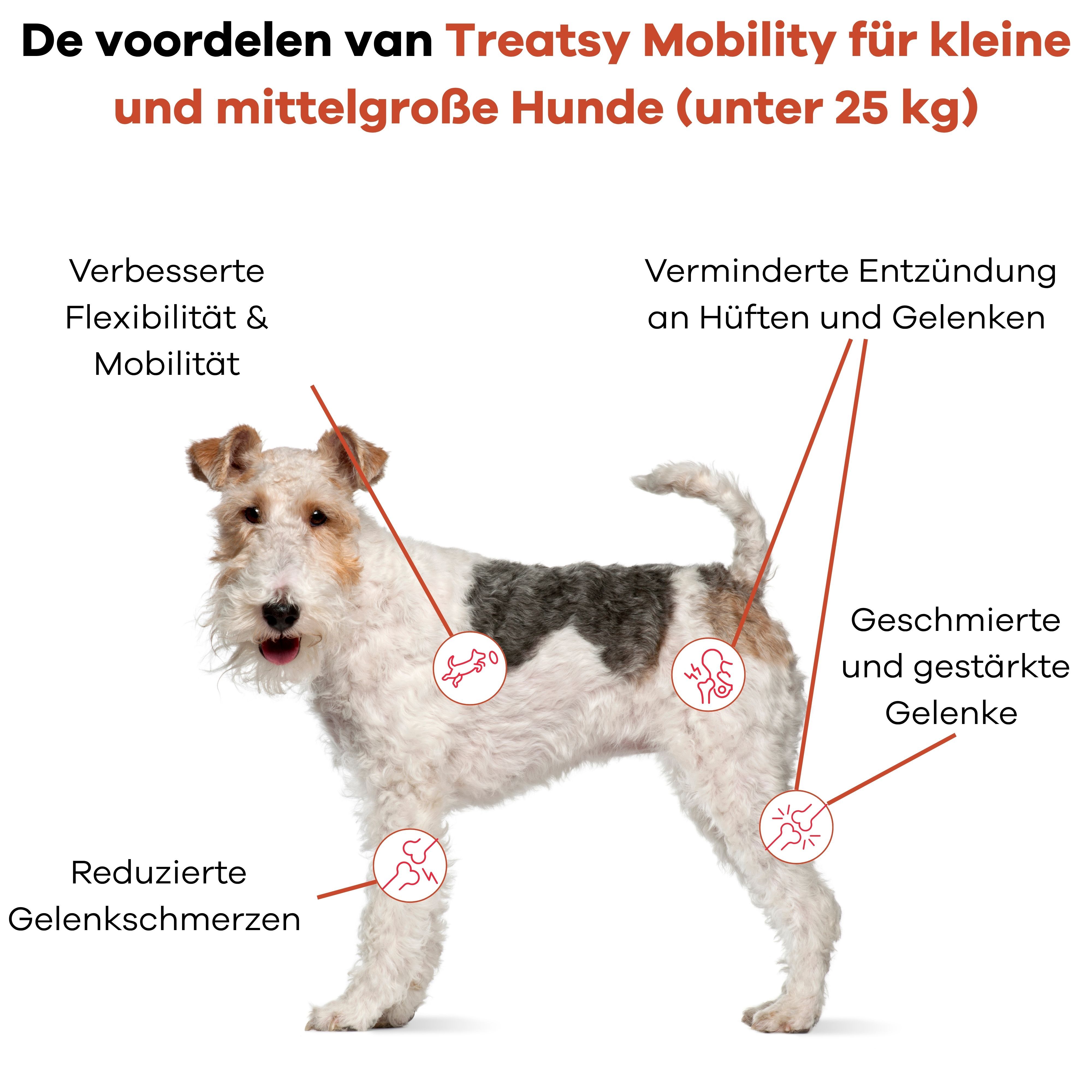 Schema der Vorteile von "Treatsy Mobility" für Hunde unter 25kg.