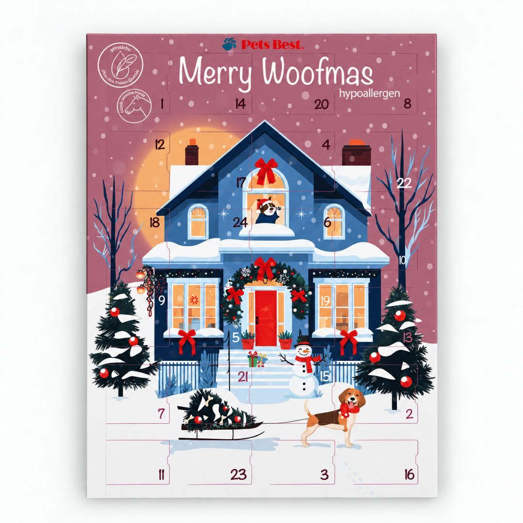 Hypoallergener Adventskalender für Hunde "Snowman's Christmas Morning" - Pets Best