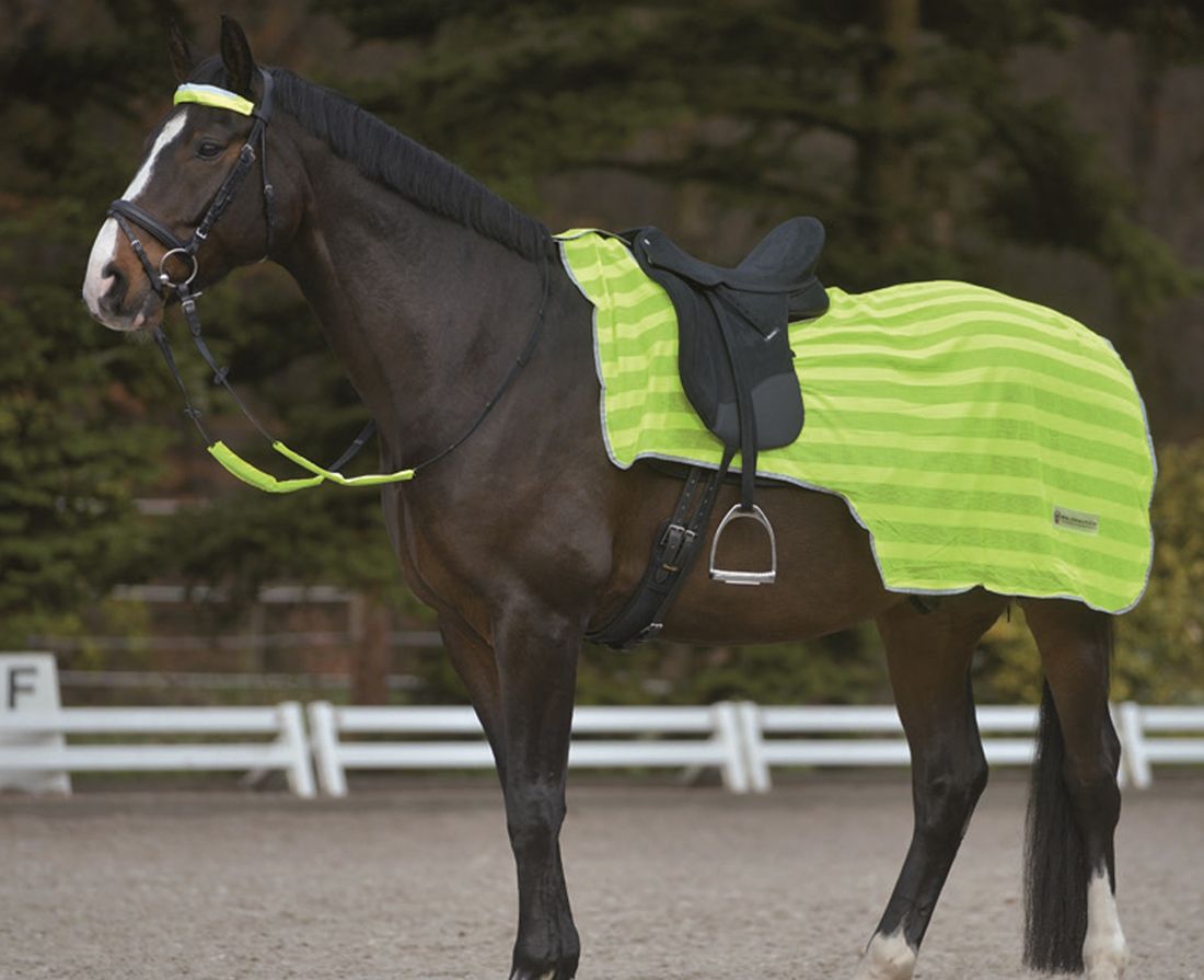 Waldhausen Reflex Nierendecke