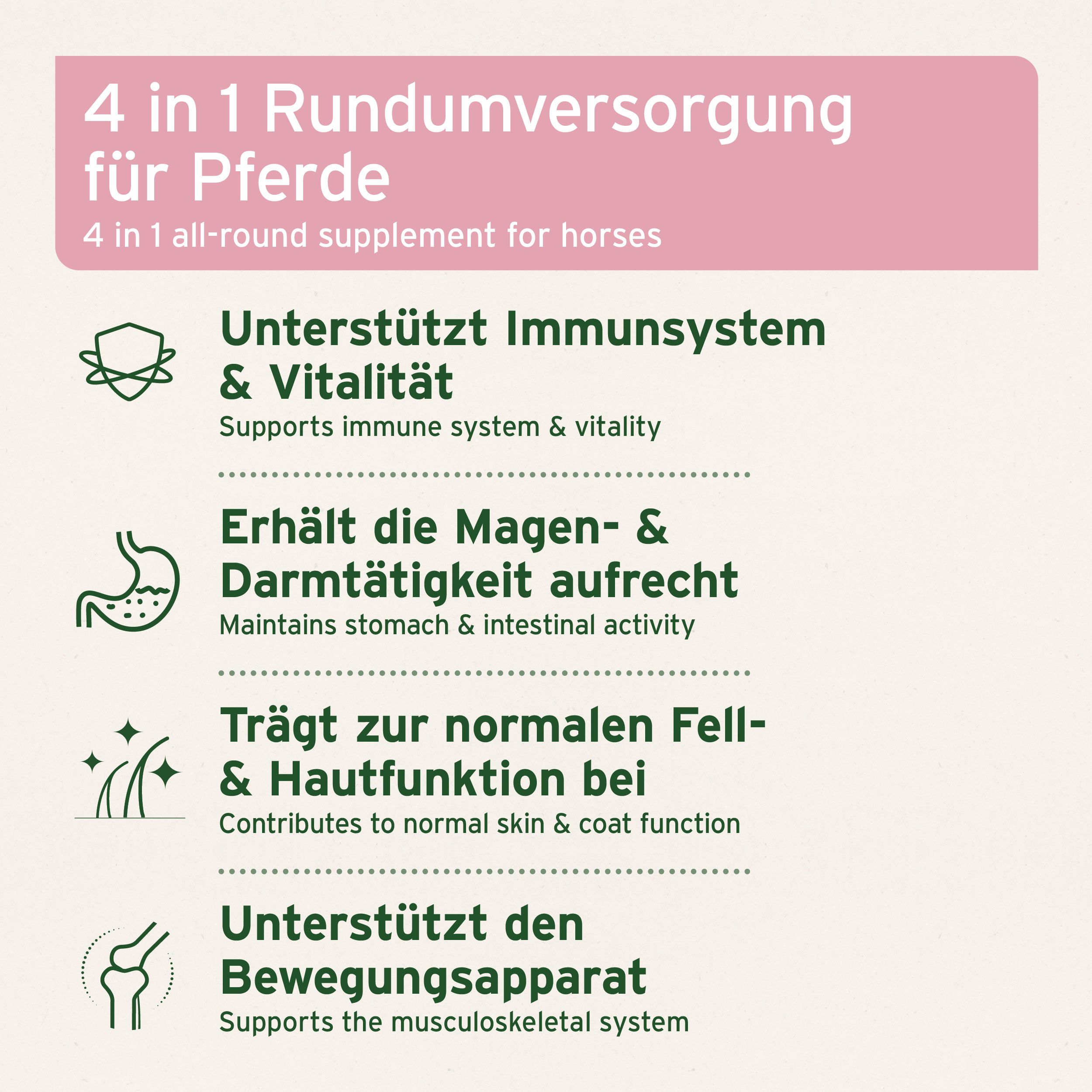 Infografik mit Icons und Text. Themen: Immunsystem, Vitalität, Magen-Darm-Funktion, Fell- und Hautfunktion, Bewegungsapparat.