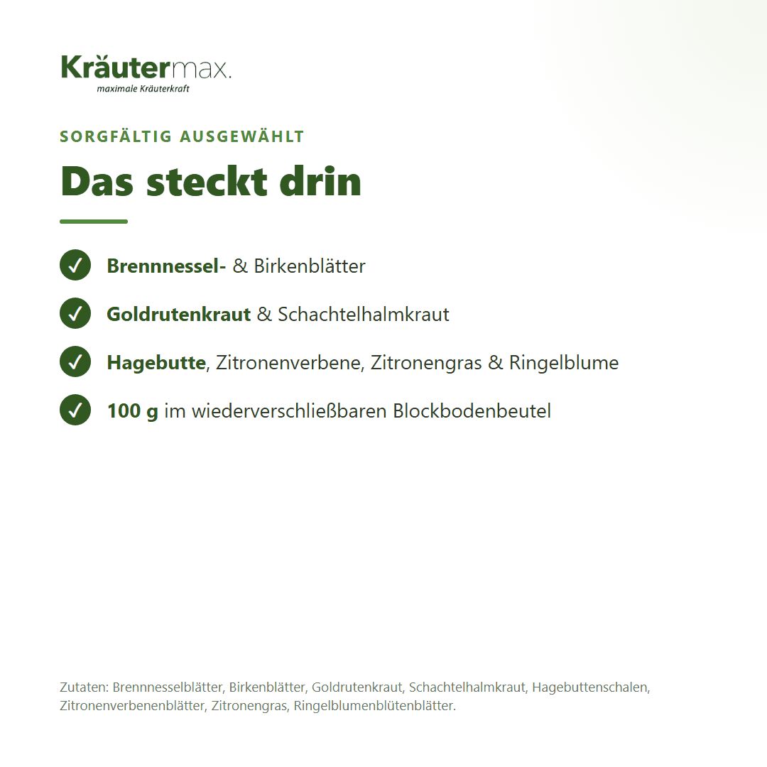 Zutaten des Kräutermax Stoffwechsel Tees: Brennnessel, Birke, Goldrute, Hagebutte, Zitrone.