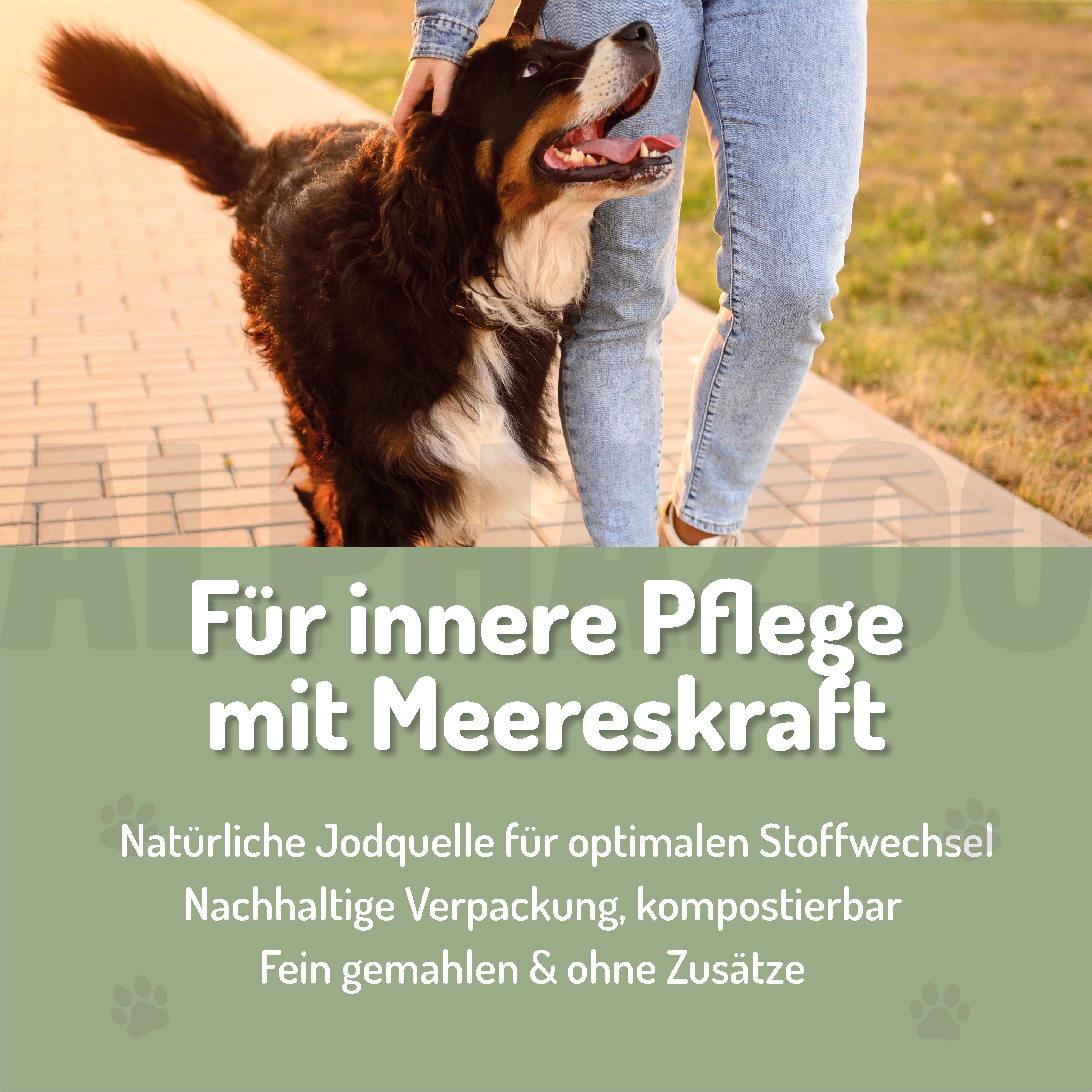 Person mit Hund auf einem Weg. Text: Für innere Pflege mit Meereskraft. Natürliche Jodquelle für Stoffwechsel. Nachhaltige Verpackung.