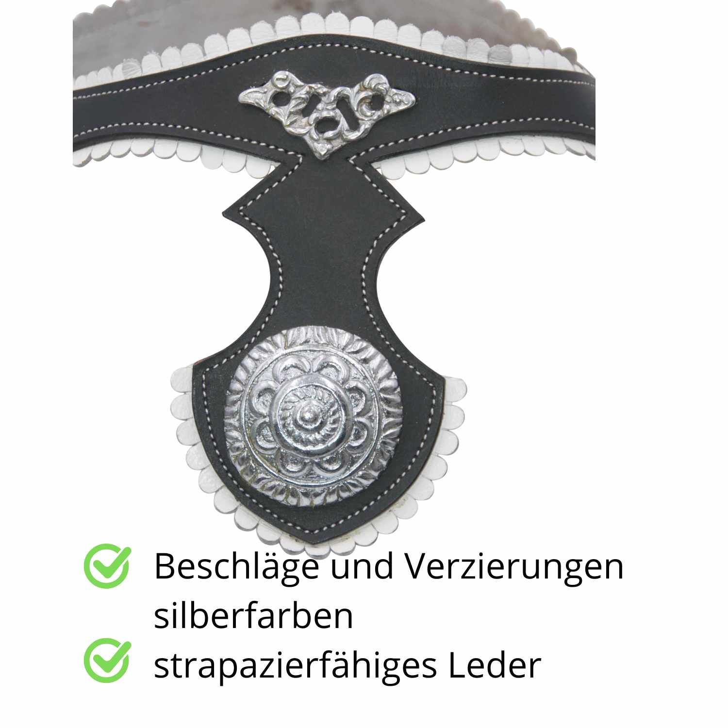 Schwarzes Leder mit silberfarbenen Beschlägen und Verzierungen. Strapazierfähiges Leder. Barockzaum.