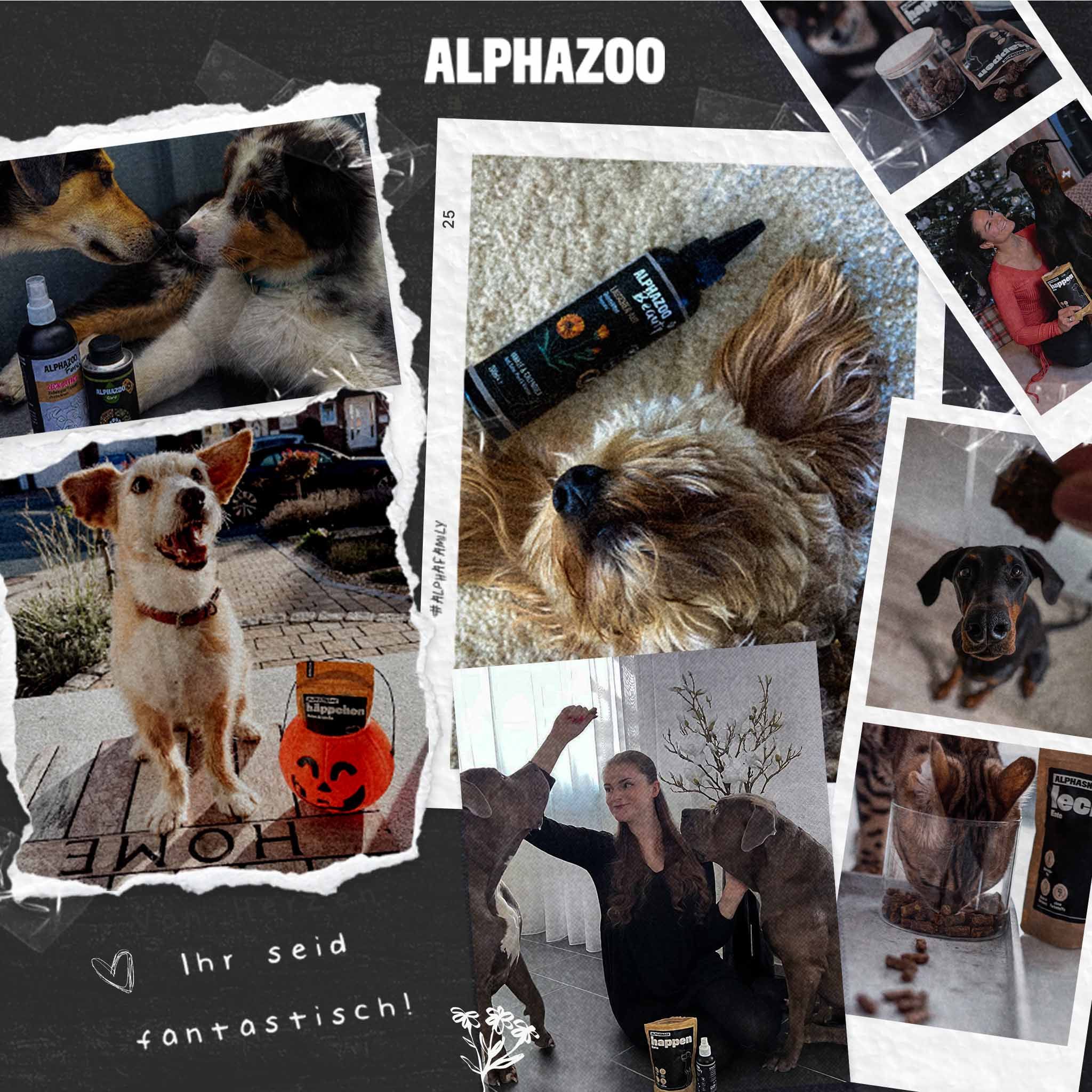 Collage mit Hunden und Produkten. Produkte: Alphazoo Happen, andere. Text: Ihr seid fantastisch! Alphazoo Logo.