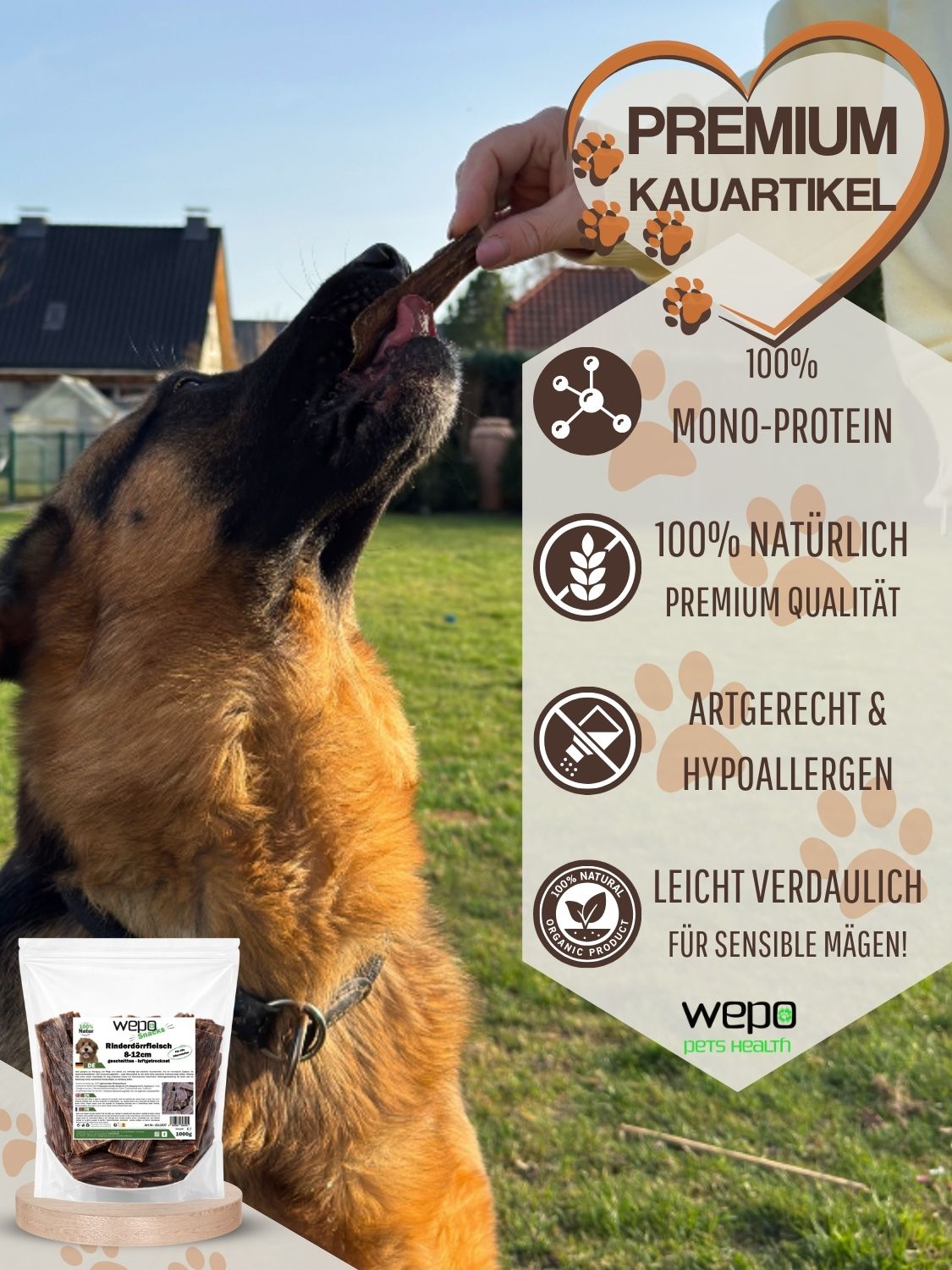 Hund mit getrocknetem Rinderdörrfleisch. Text: Premium Kauartikel, 100% Mono-Protein, 100% natürlich, leicht verdaulich für sensible Mägen.