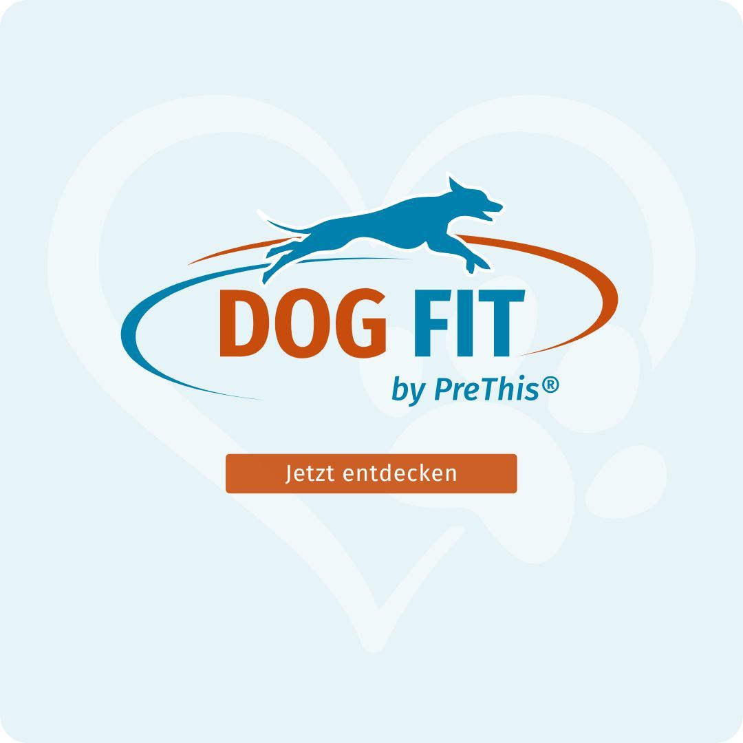 Logo DOG FIT by PreThis®. Blauer Hund springt. Text: Jetzt entdecken. Orangefarbene Schaltfläche.