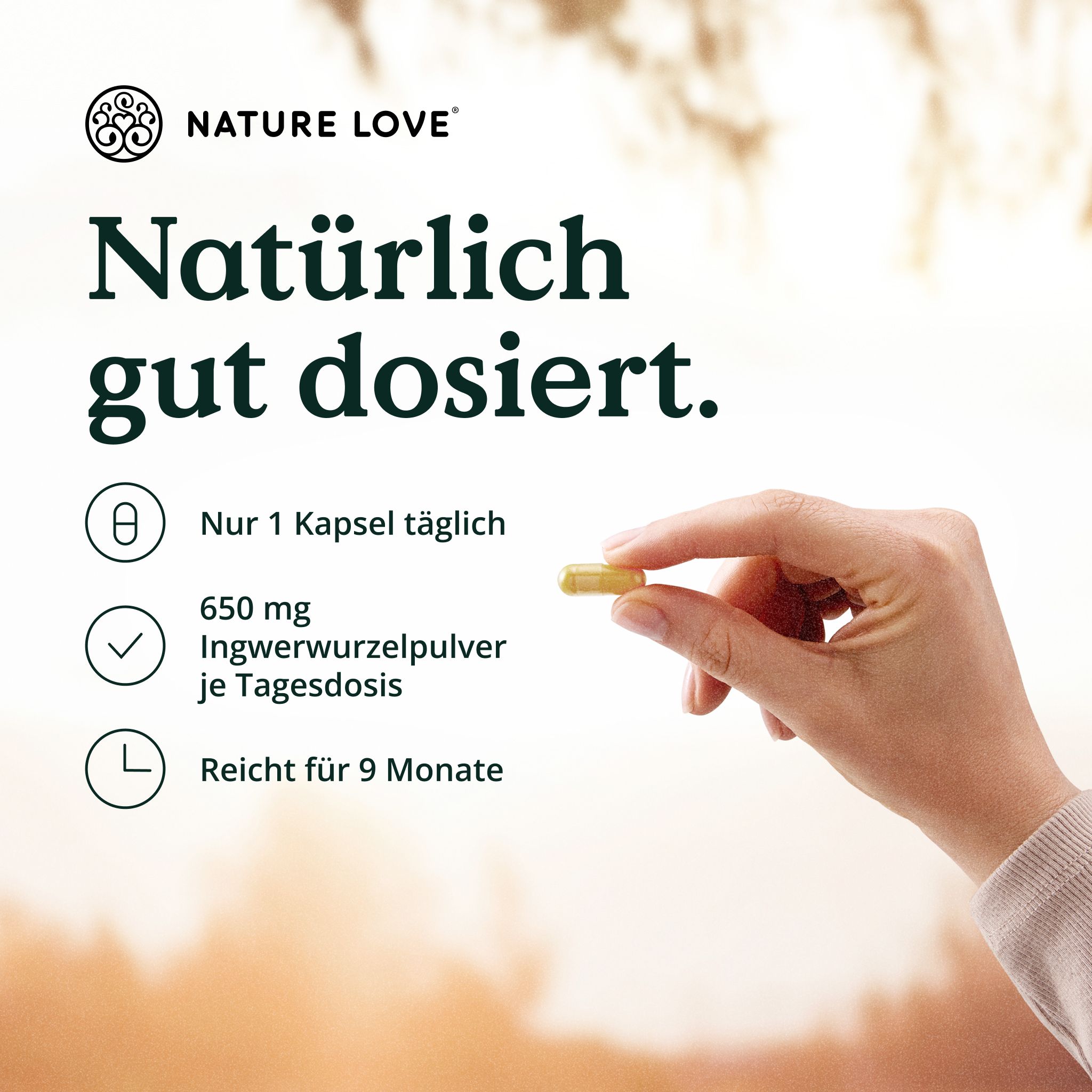 Hand mit Kapsel. Text: Nur 1 Kapsel täglich, 650 mg Ingwerwurzelpulver, reicht für 9 Monate. Marke: NATURE LOVE.