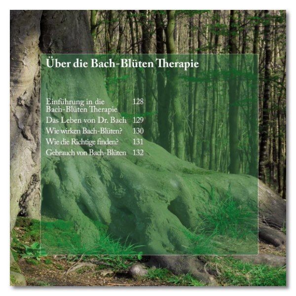 Seite mit Text über Bach-Blüten Therapie. Titel: Über die Bach-Blüten Therapie. Inhaltsverzeichnis.