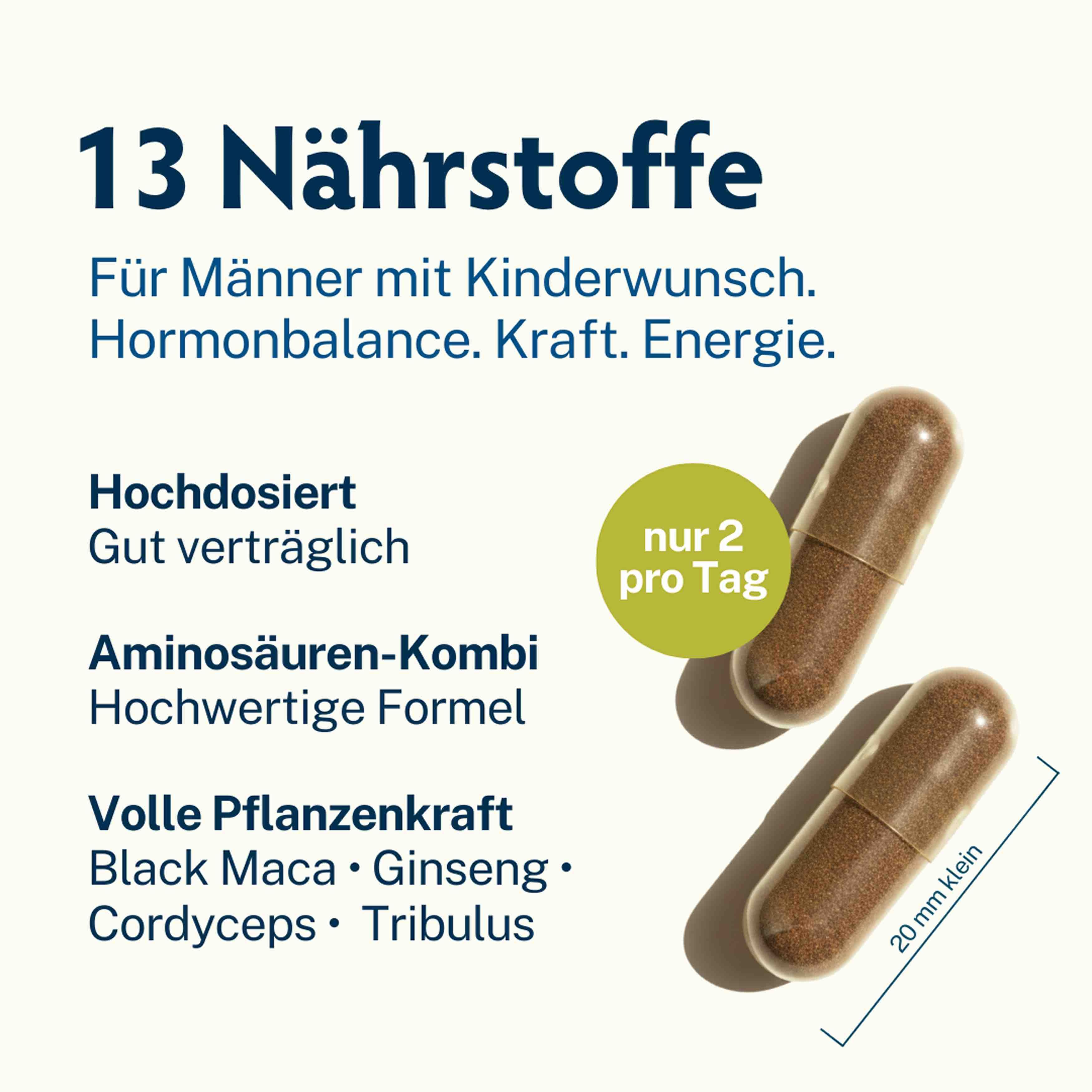 Zwei braune Kapseln. Aufschrift: nur 2 pro Tag. Text: 13 Nährstoffe, für Männer mit Kinderwunsch. Hormonbalance, Kraft, Energie.