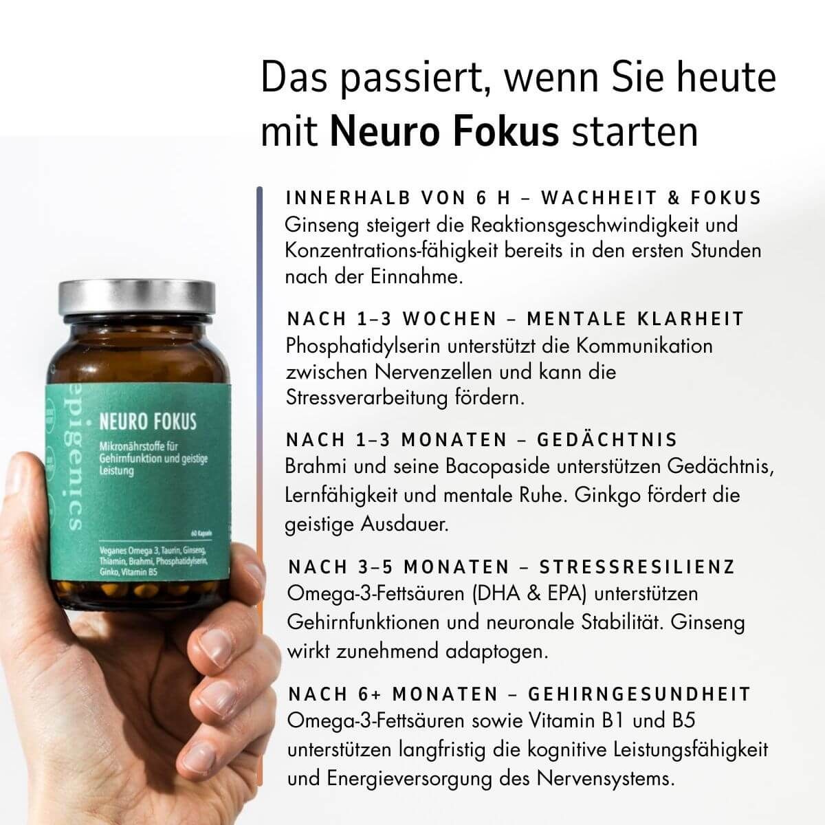 Hand hält Neuro Fokus Flasche. Text: Neuro Fokus, Mikronährstoffe für Gehirnfunktion und geistige Leistung. Wirkung nach Wochen.