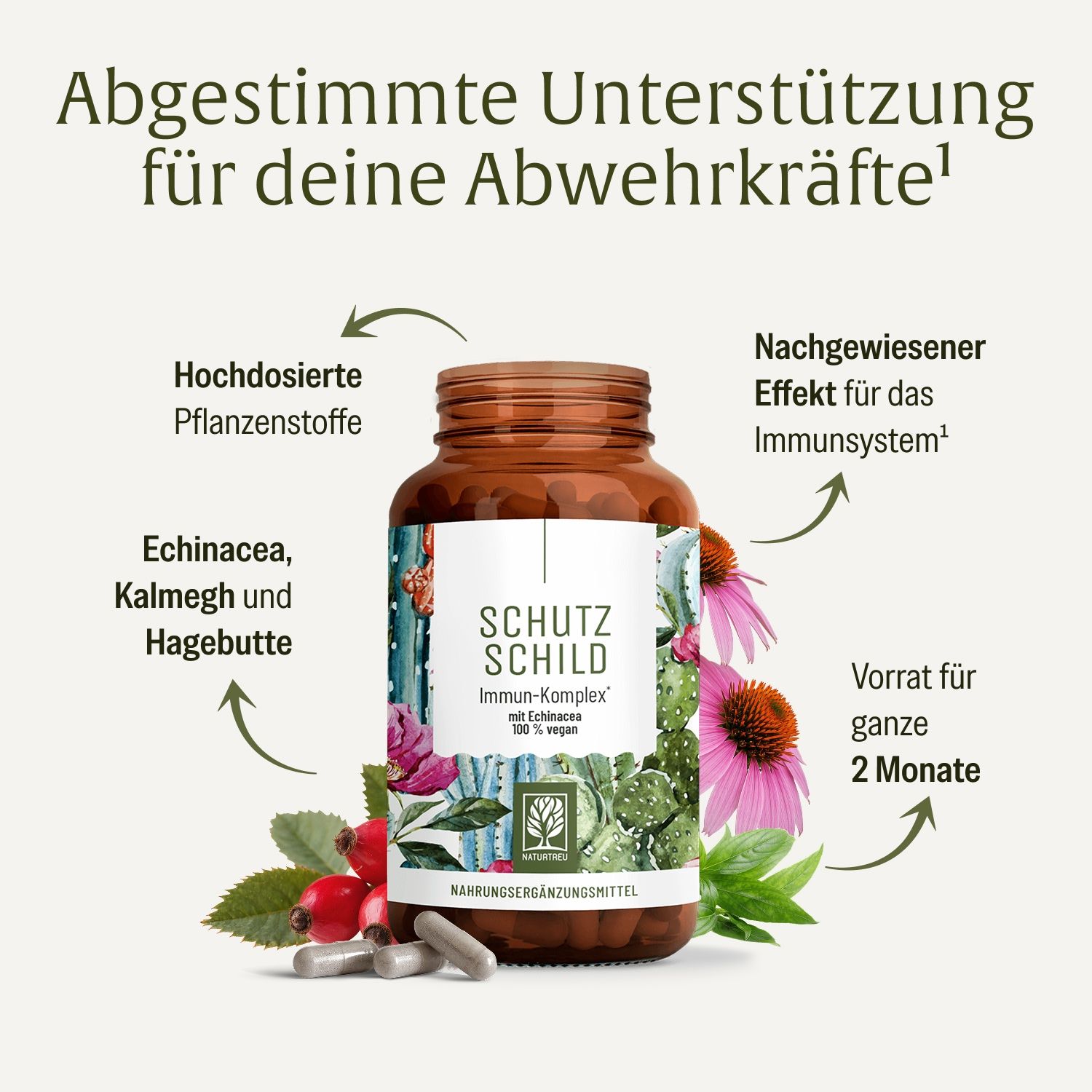 Schutzschild Immun-Komplex: Flasche mit Kapseln, umgeben von Echinacea, Hagebutte und Text.