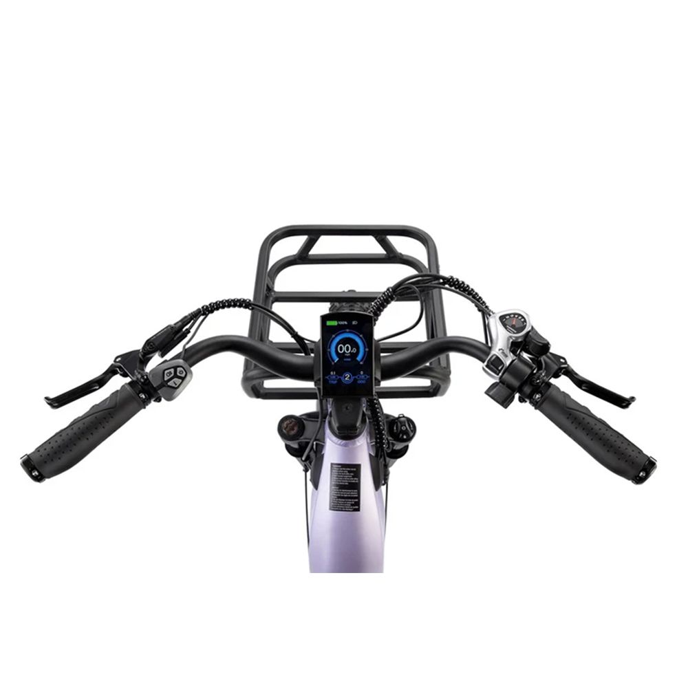 Fahrradlenker mit Display, Griffen und Bedienelementen. Schwarze Farbe. Frontkorb sichtbar.