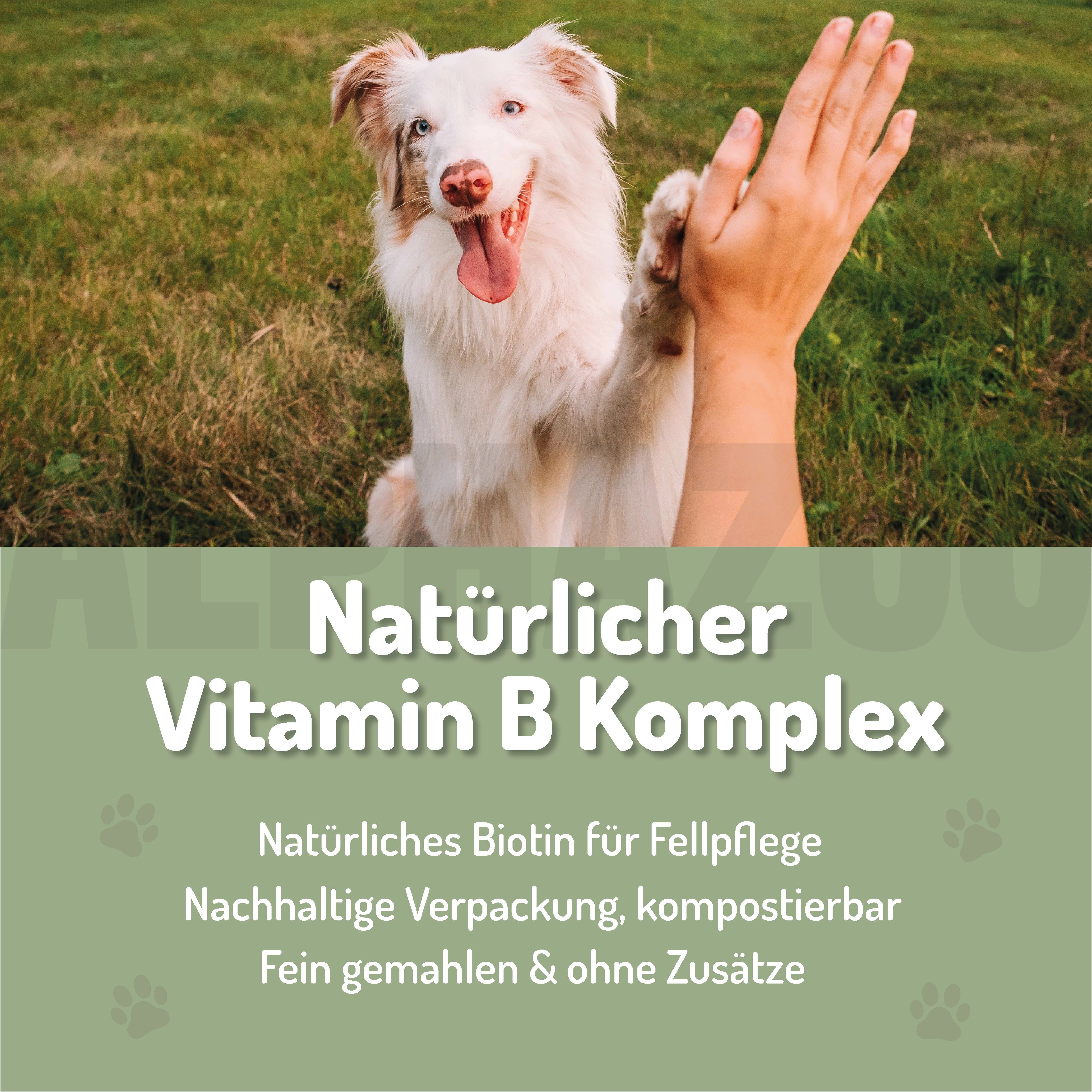 Weißer Hund gibt Pfote. Text: Natürlicher Vitamin B Komplex. Nachhaltige Verpackung, kompostierbar. Fein gemahlen & ohne Zusätze.