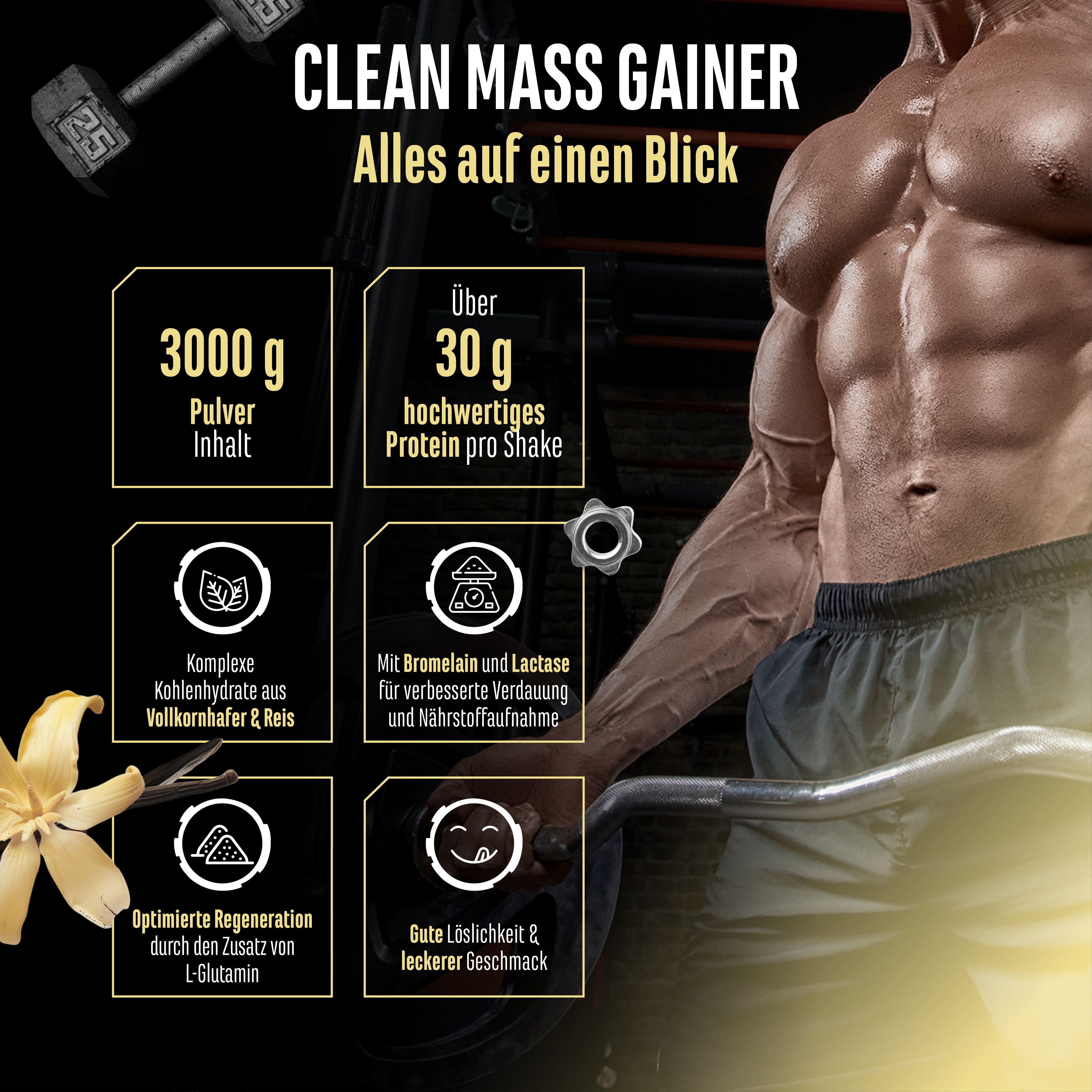 Grafik mit Informationen zum Clean Mass Gainer. Enthält Angaben zu Pulverinhalt, Protein pro Shake, Inhaltsstoffen und Geschmack.