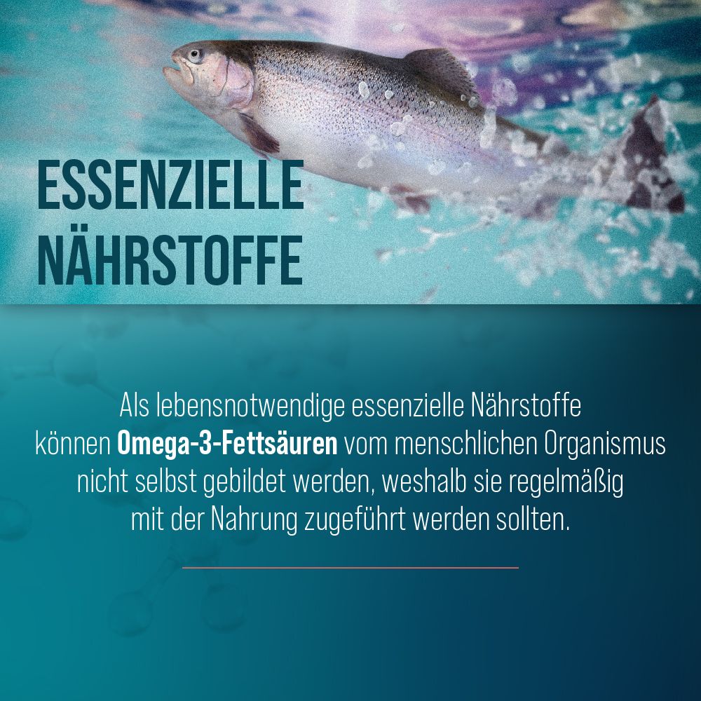 Schwimmender Fisch unter Wasser mit Text "ESSENZIELLE NÄHRSTOFFE".