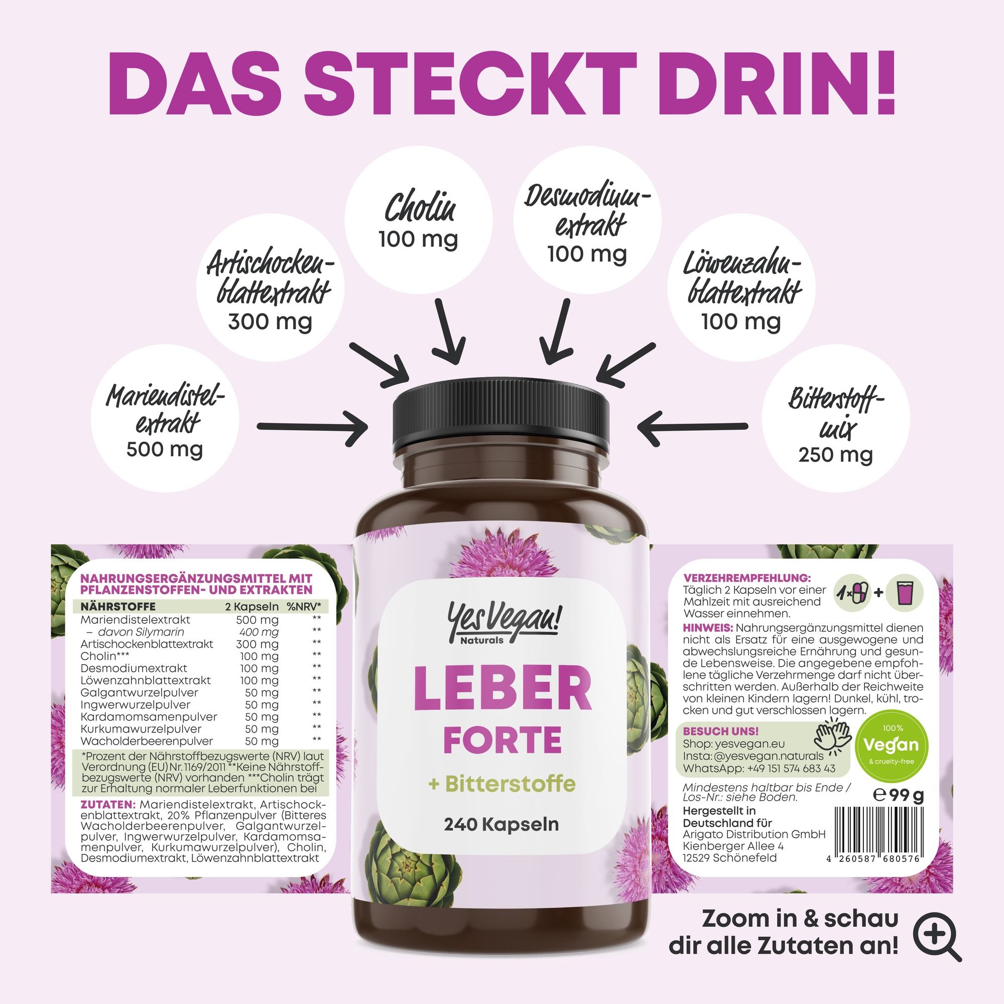 Flasche Leber Forte mit Übersicht der Inhaltsstoffe, umgeben von Artischocken und Disteln.