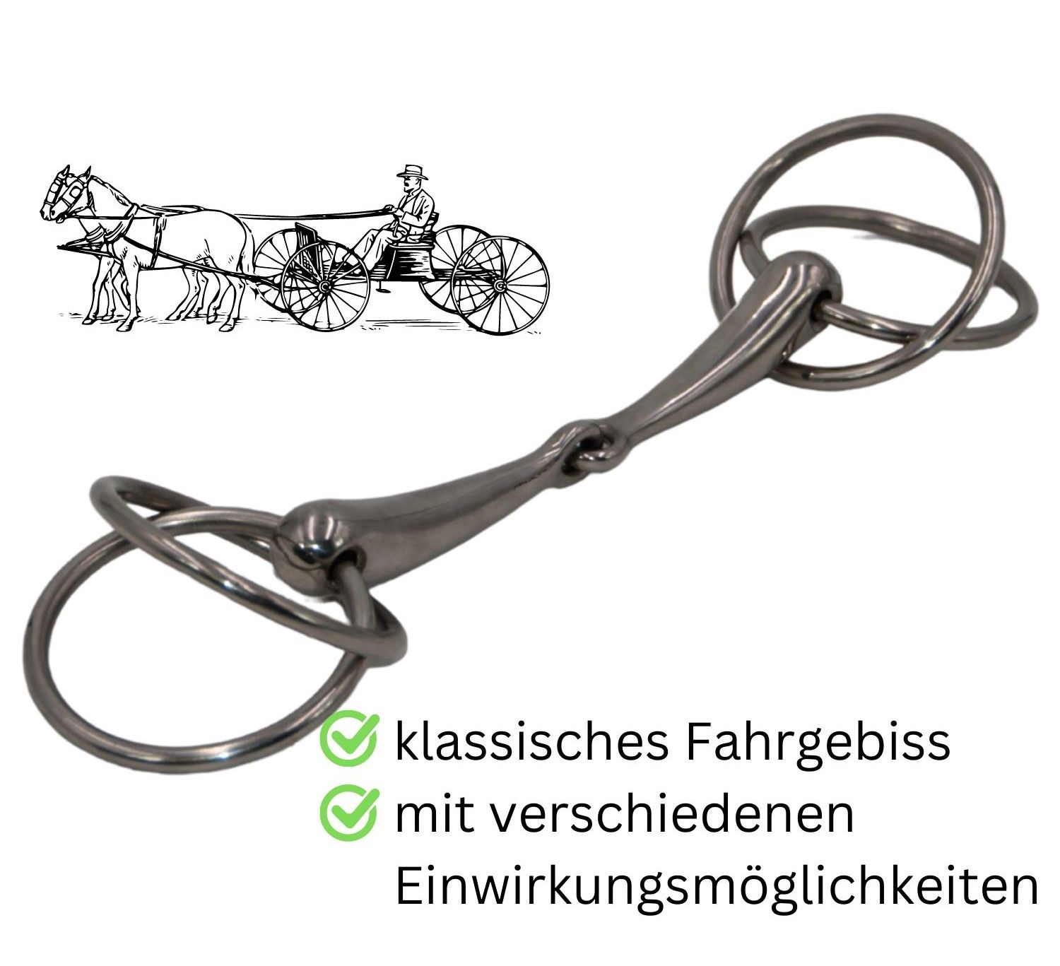 Klassisches Fahrgebiss mit verschiedenen Einwirkungsmöglichkeiten. Mit zwei Ringen und einem Mundstück. Im Hintergrund eine Zeichnung einer Kutsche.