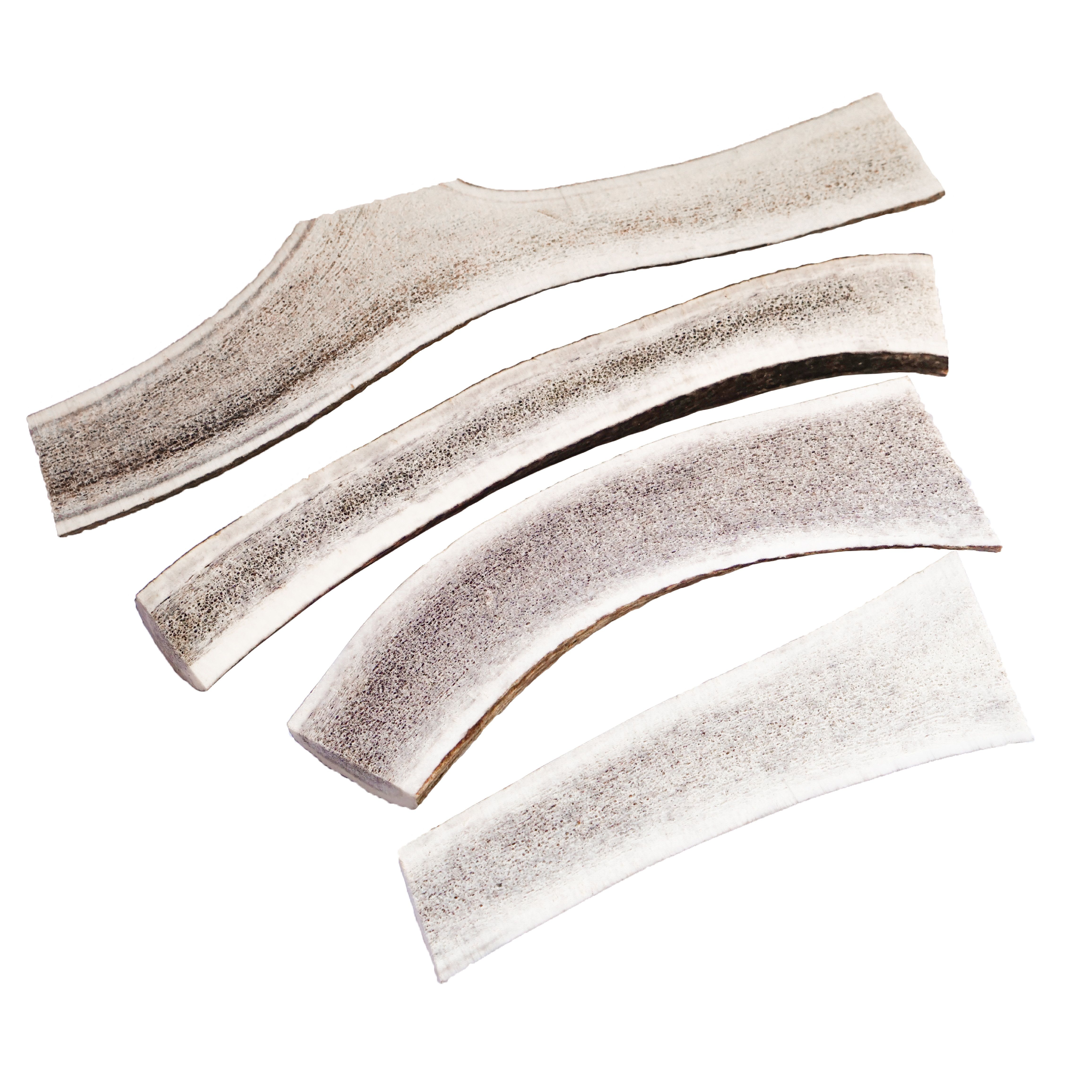 Halbierte Hirsch-Geweihstücke. Fünf helle, gebogene Stücke mit sichtbarer Knochenstruktur. Natürliche Form und Textur.