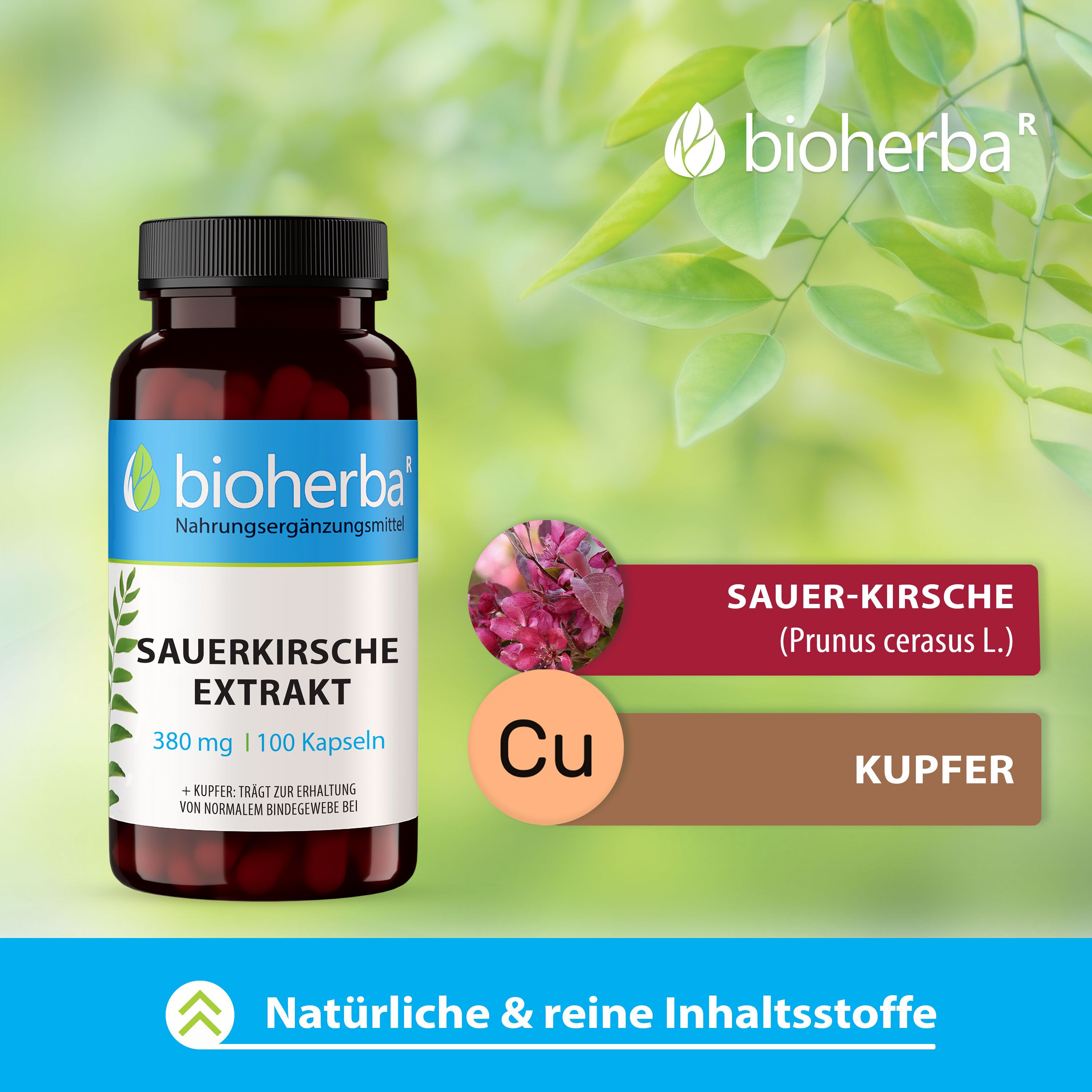 Produktflasche vor Hintergrund mit Kirschen und Blättern. Text: Natürliche & reine Inhaltsstoffe. Produktname.