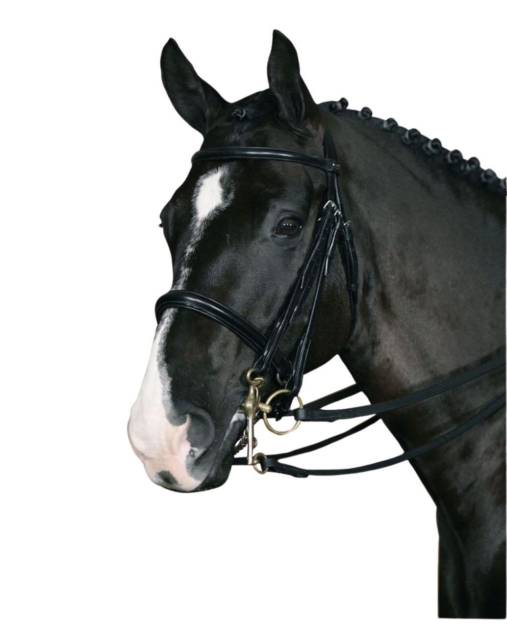 Hubertus Classic Kandarenzaum. Schwarzer Lederzaum mit silberfarbenen Schnallen und Gebiss. Pferd mit Zopf. Nahaufnahme.