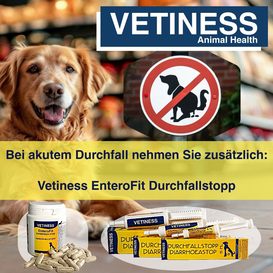 Gelbe Verpackung Vetiness EnteroFit Bites. Text: Bei akutem Durchfall nehmen Sie zusätzlich: Vetiness EnteroFit Durchfallstopp. Produkte und Verpackungen.