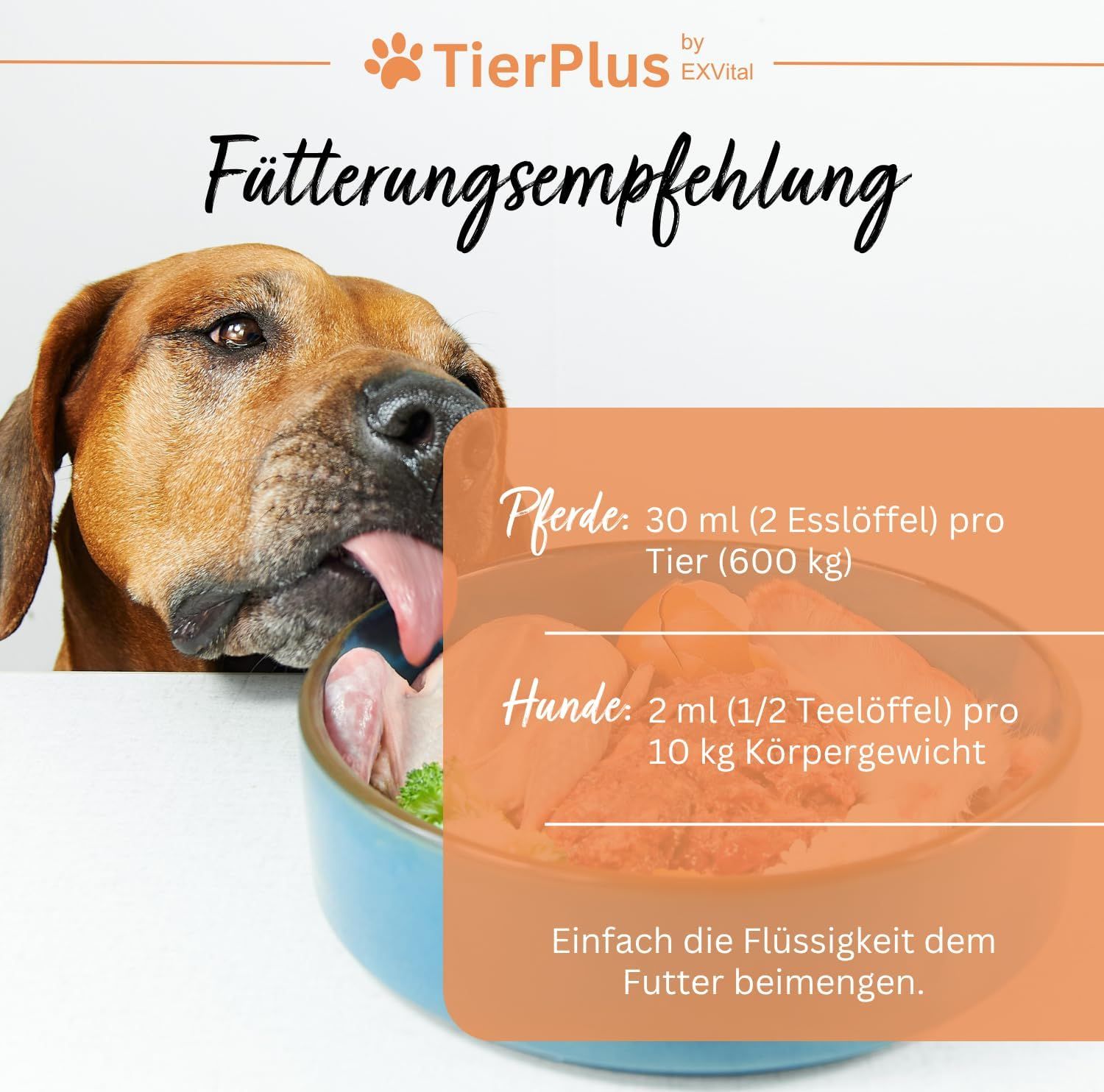 EXVital® TierPlus Barf Futteröl für Hunde & Pferde