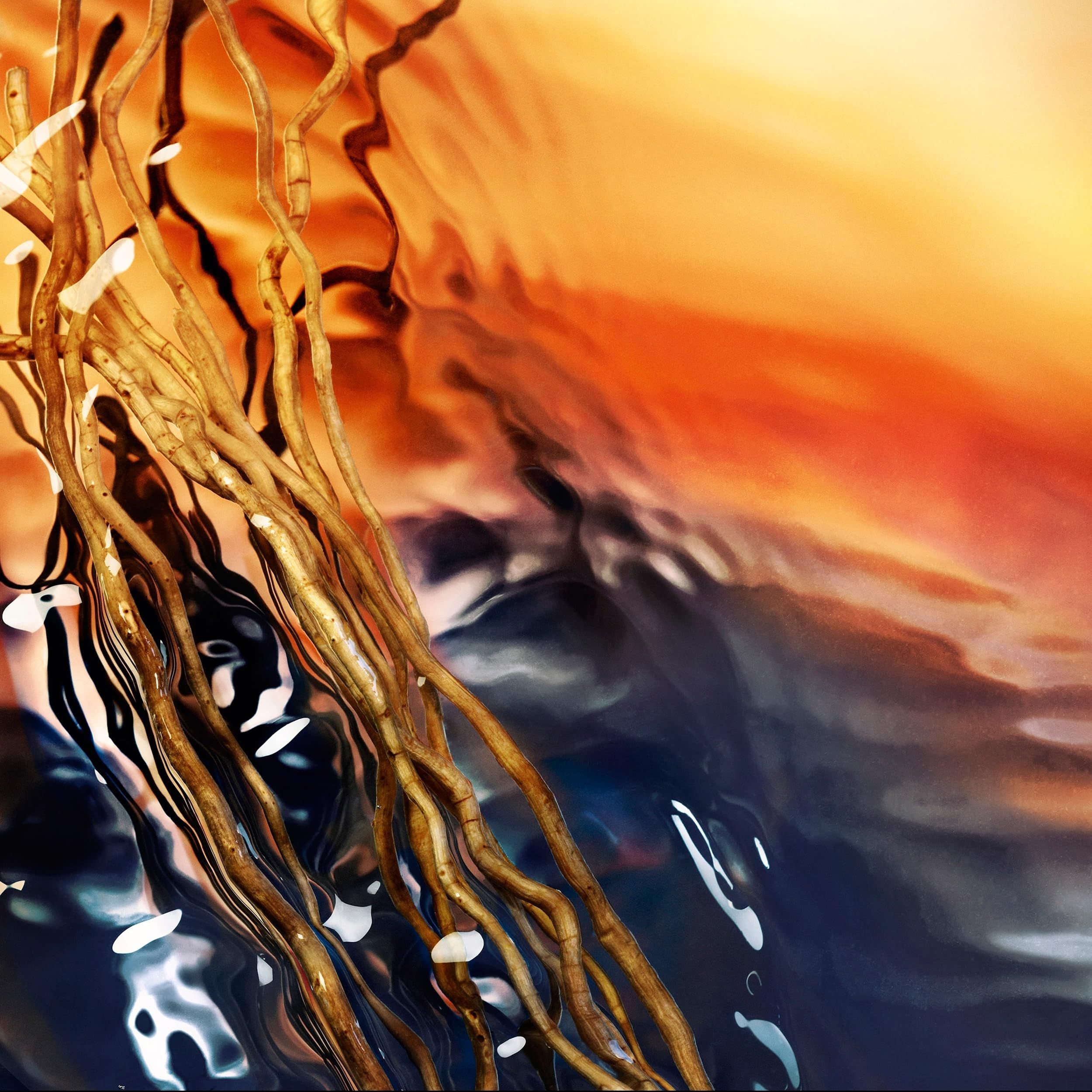 Abstrakte Darstellung von Wasser und Ästen. Farbverlauf von Orange zu Blau. Äste im Vordergrund.