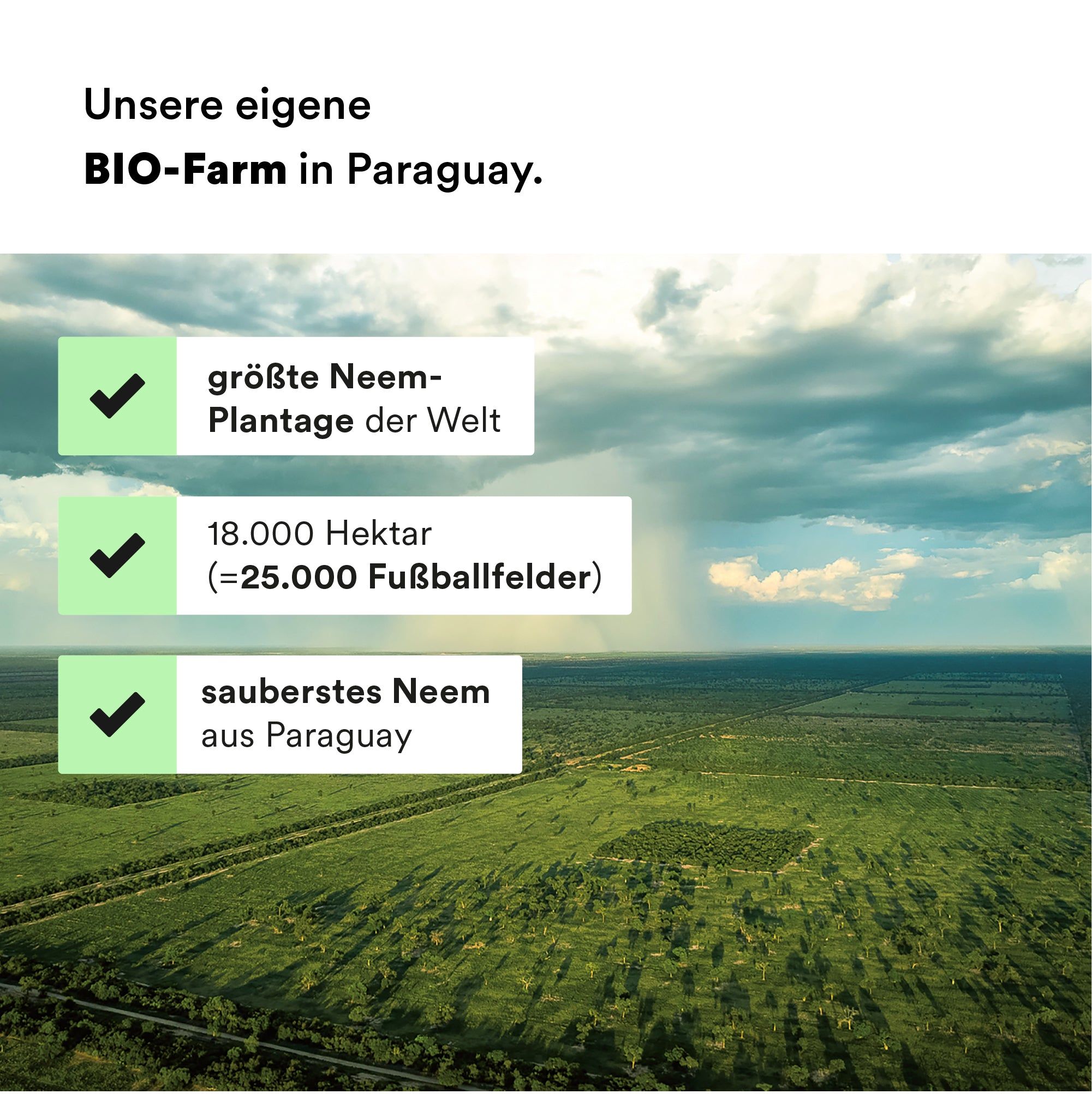 Landschaftsbild mit Text: größte Neem-Plantage der Welt, 18.000 Hektar, sauberstes Neem aus Paraguay.