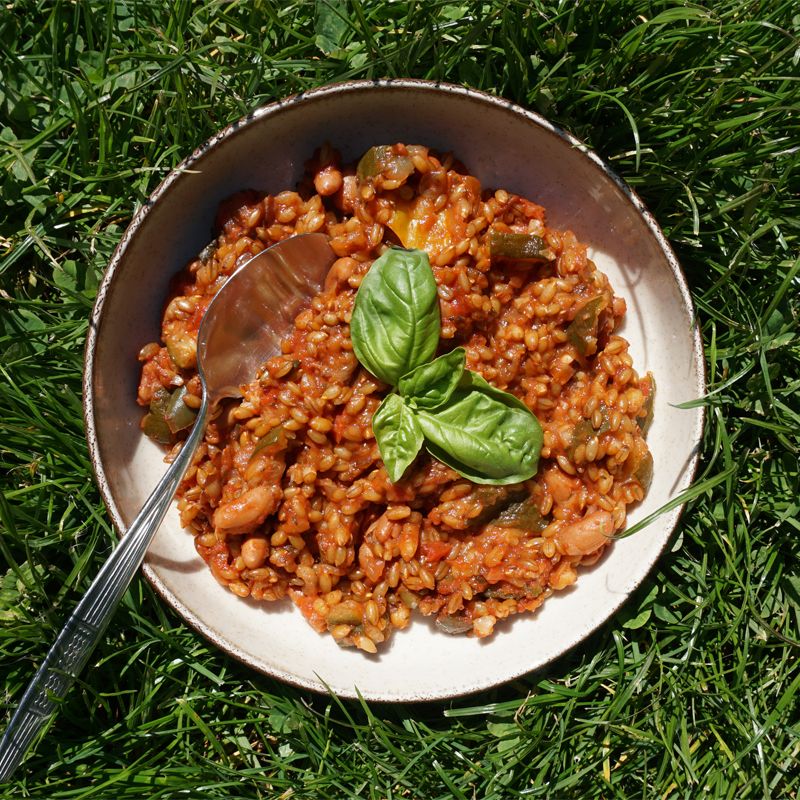 Kernbeißer Vollkorngerichte: Probierpaket